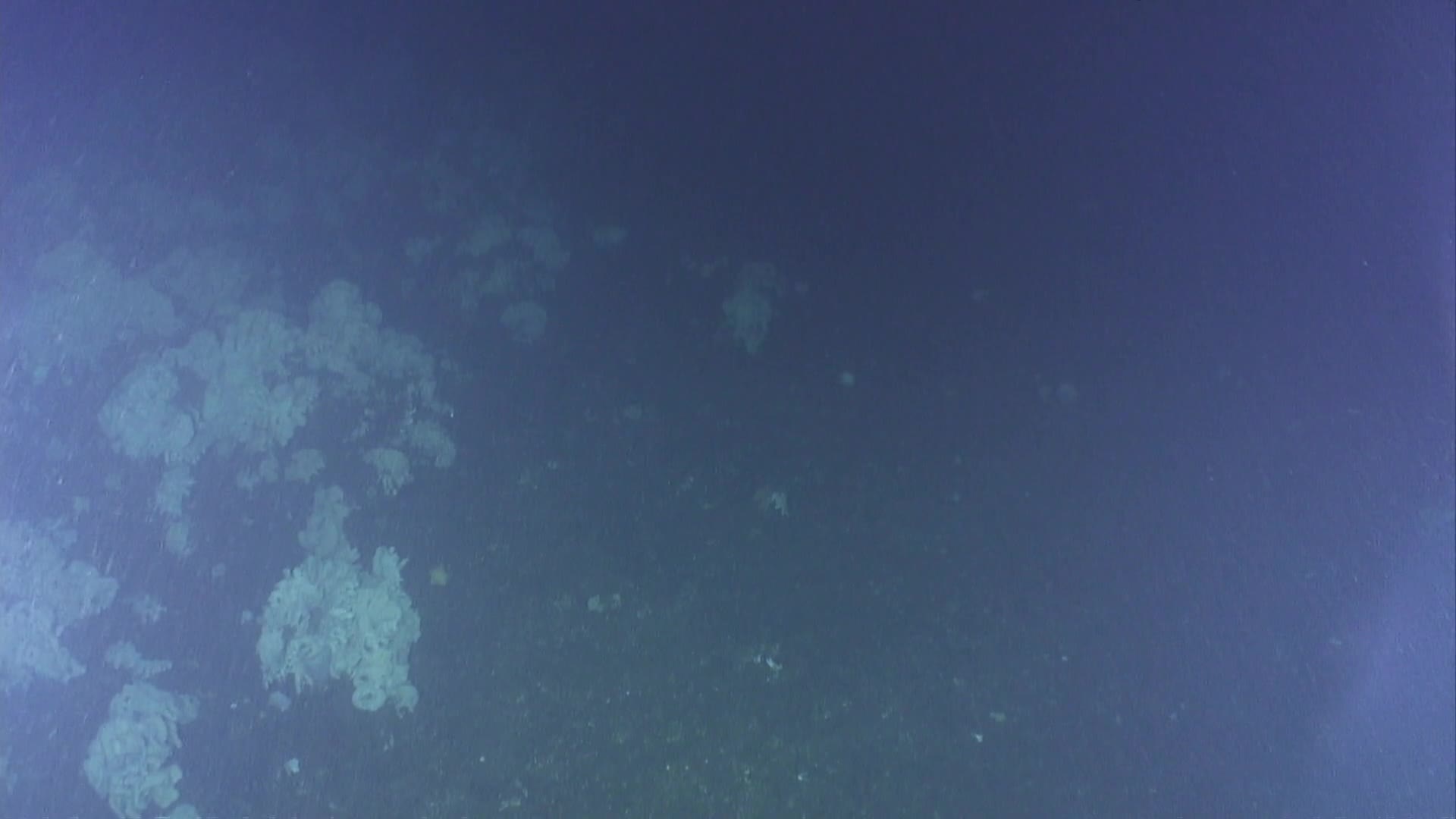 media 229760 thumbnail image
