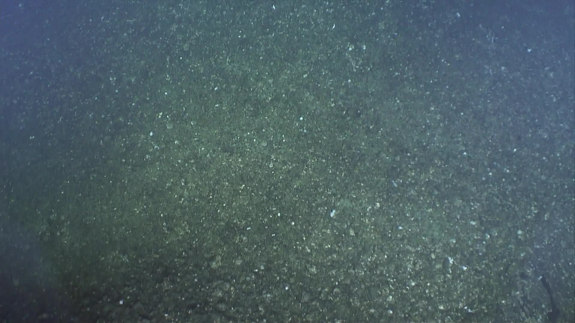 media 229765 thumbnail image