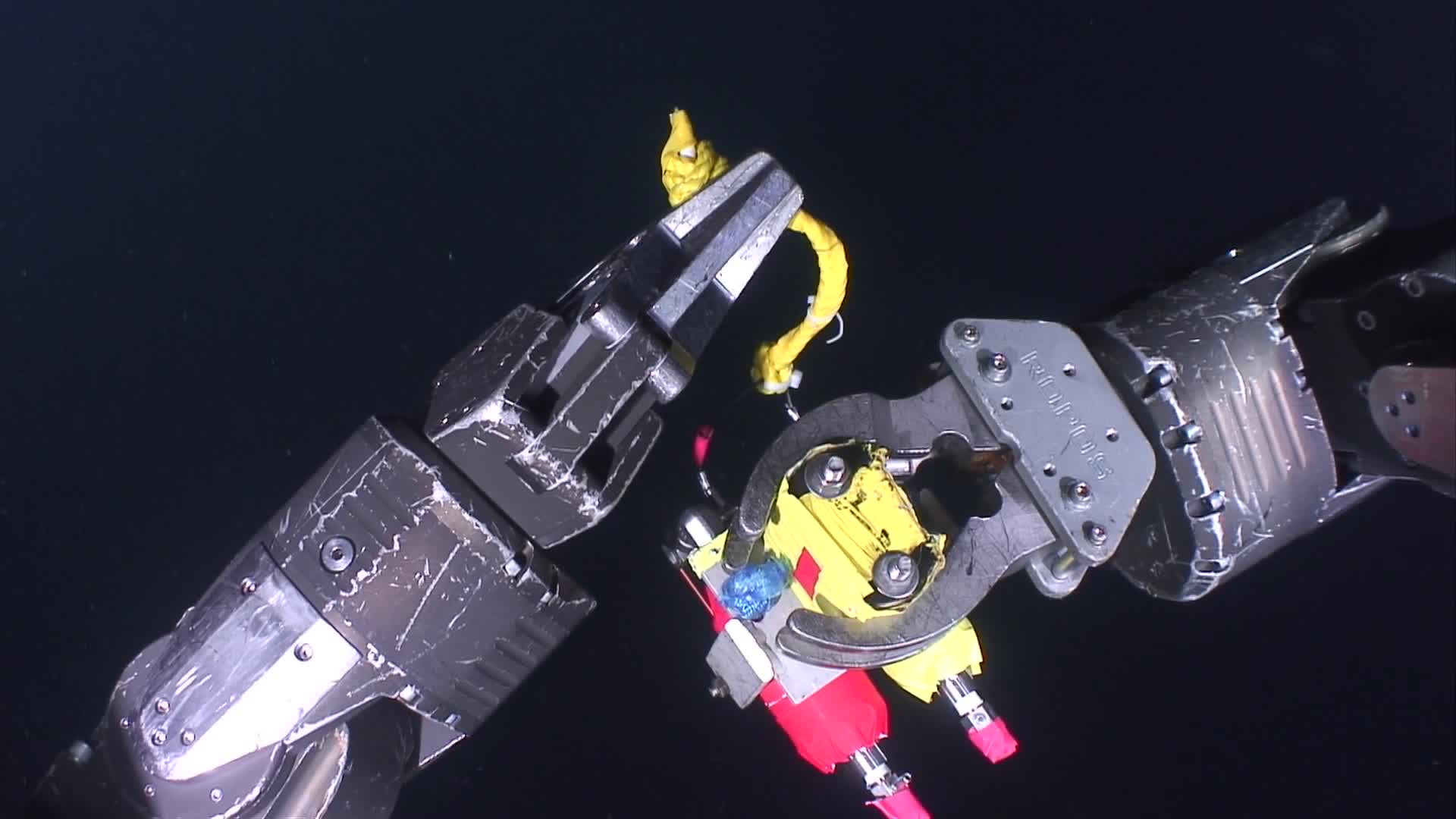 media 229768 thumbnail image