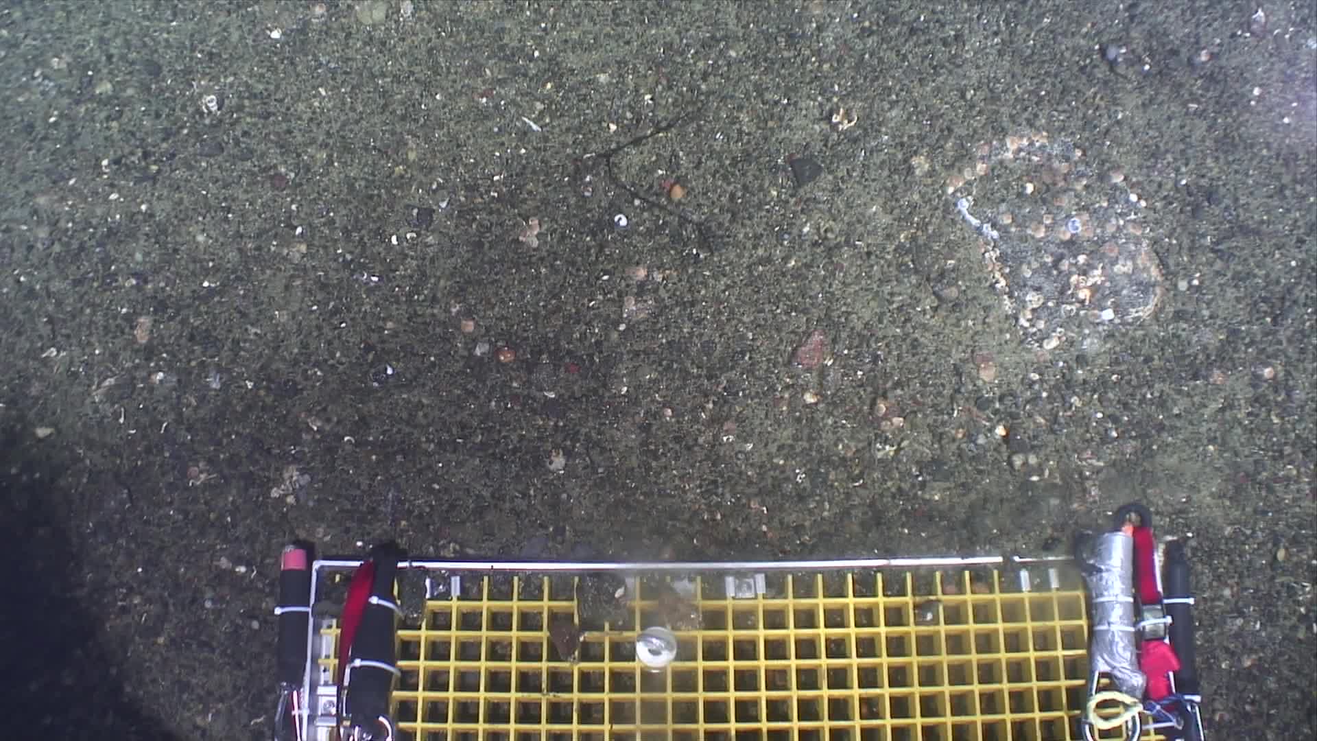 media 229776 thumbnail image