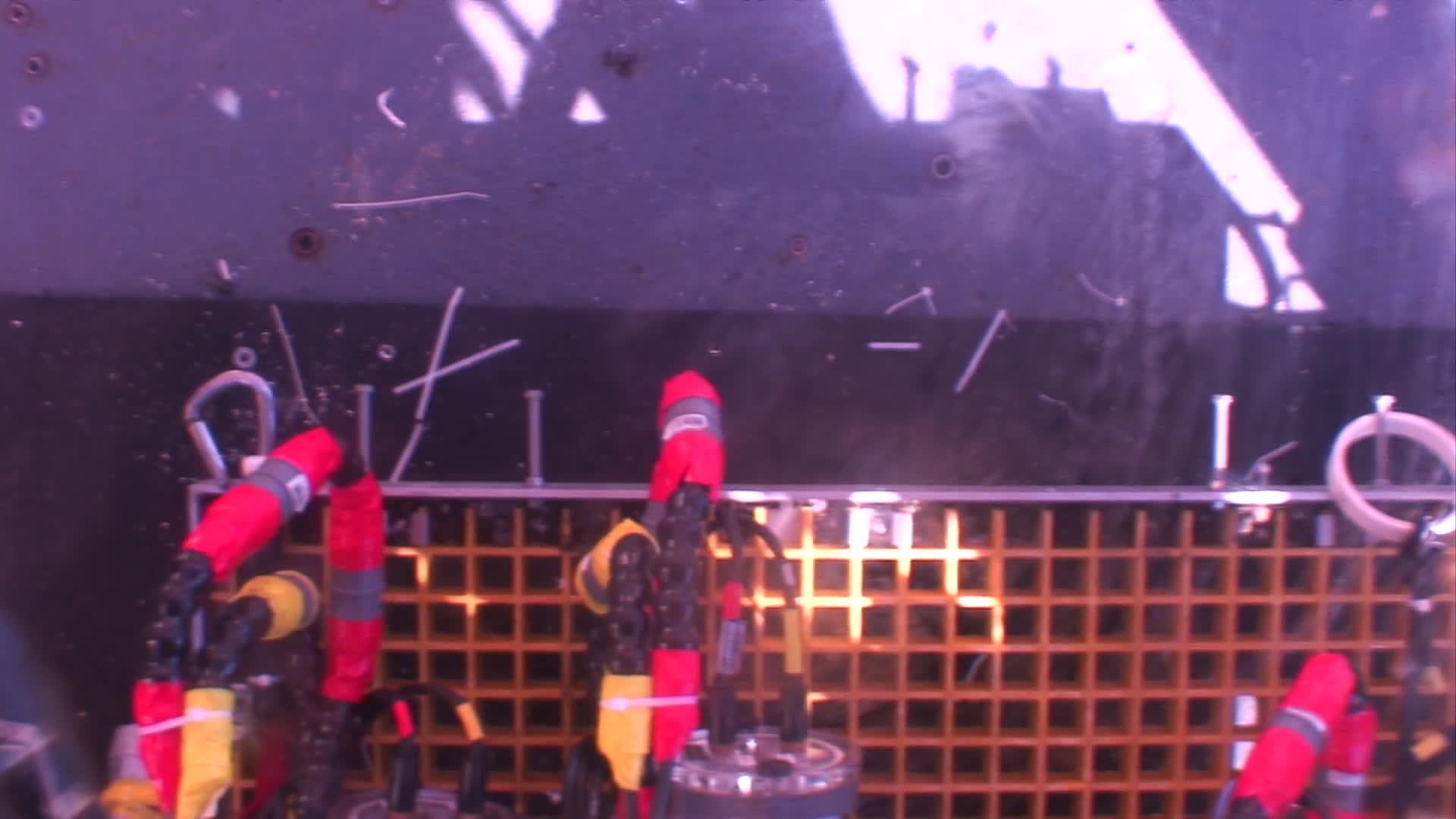 media 229846 thumbnail image