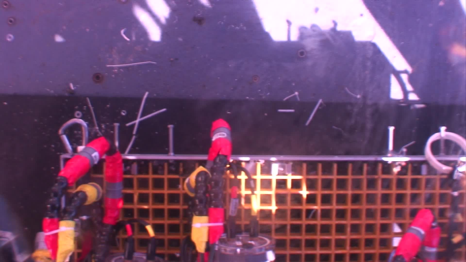 media 229850 thumbnail image
