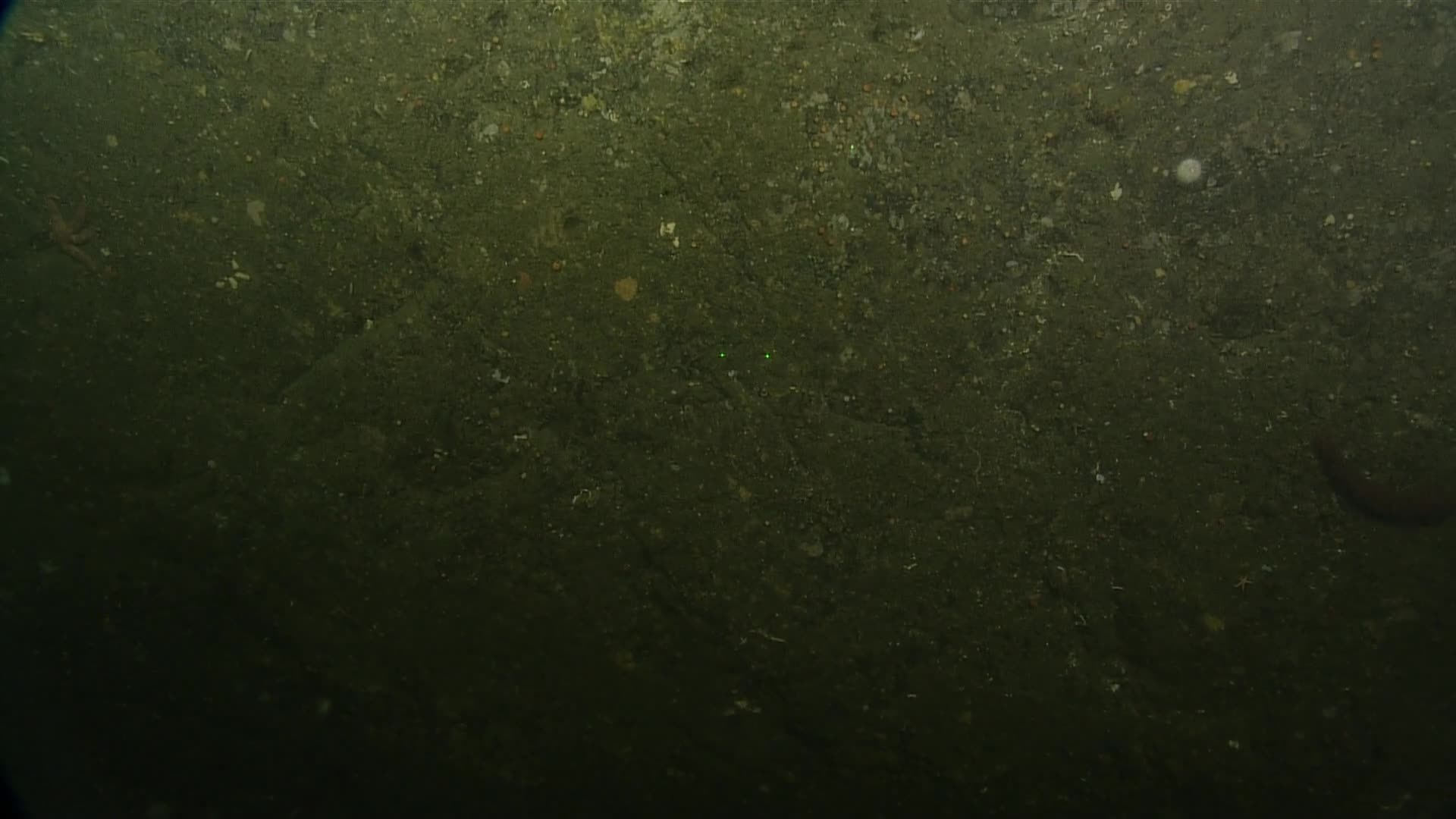 media 229926 thumbnail image