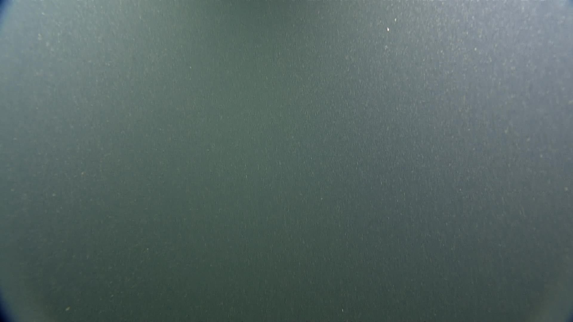 media 229928 thumbnail image