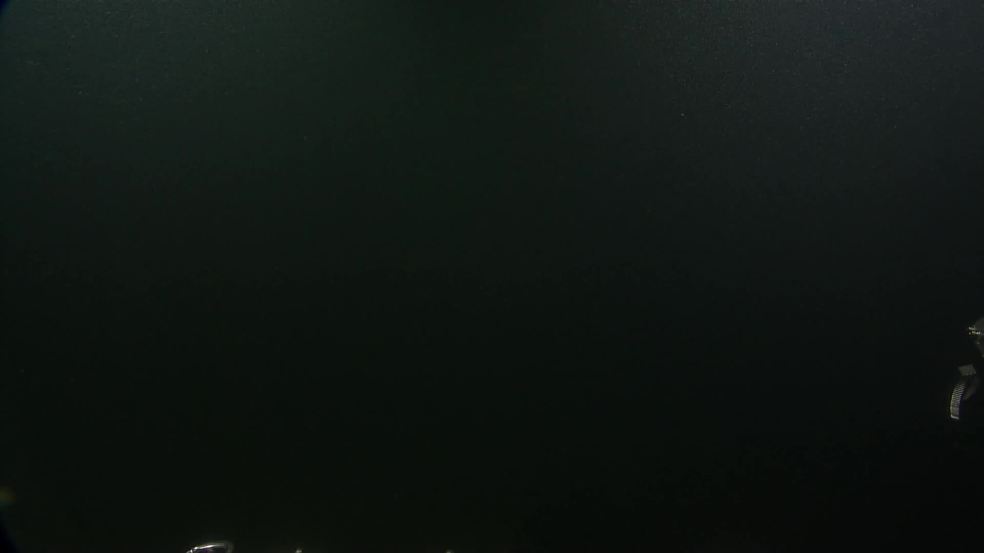 media 229939 thumbnail image