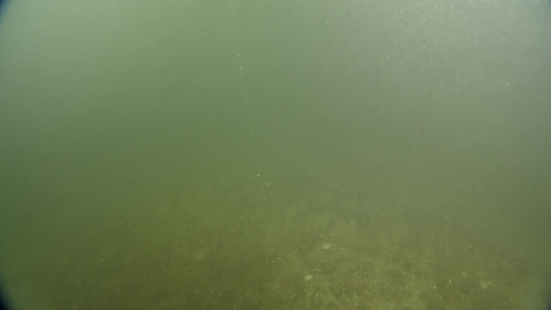 media 229976 thumbnail image