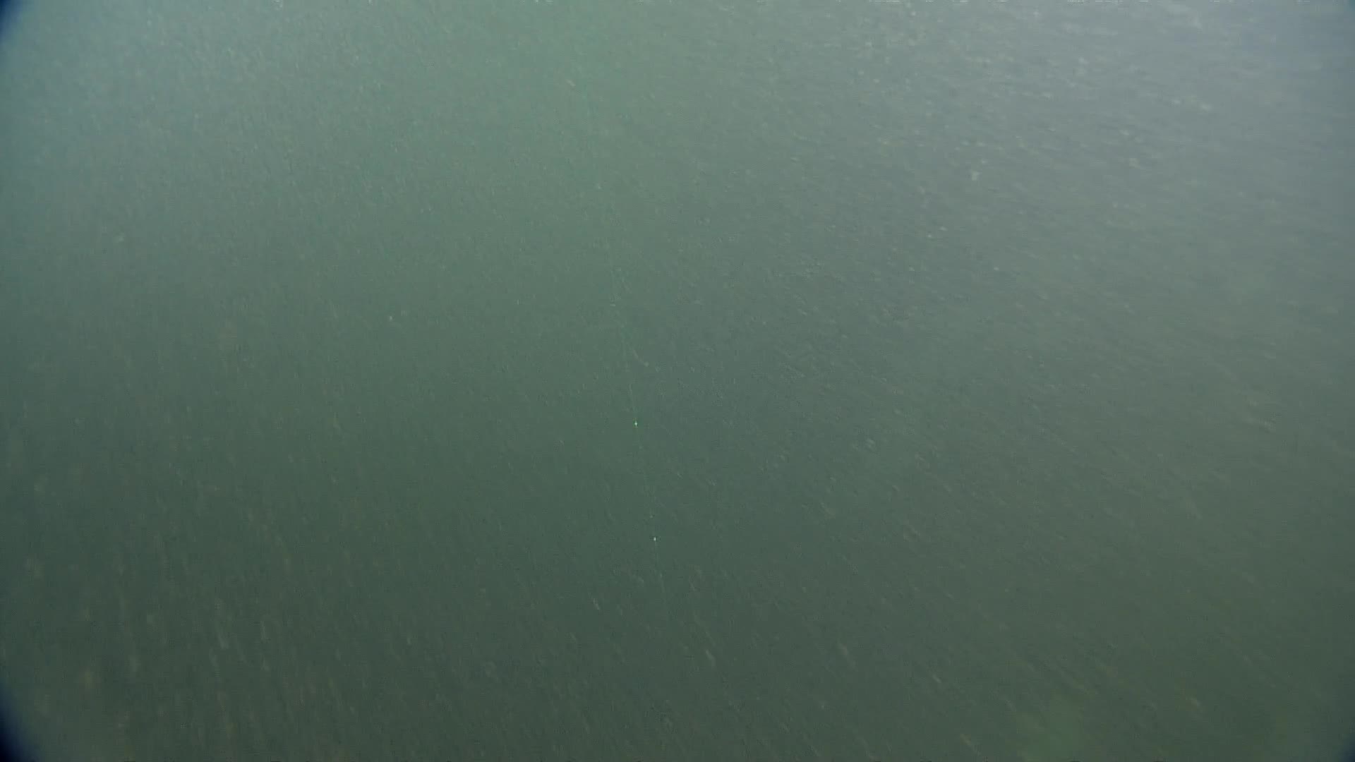 media 229978 thumbnail image
