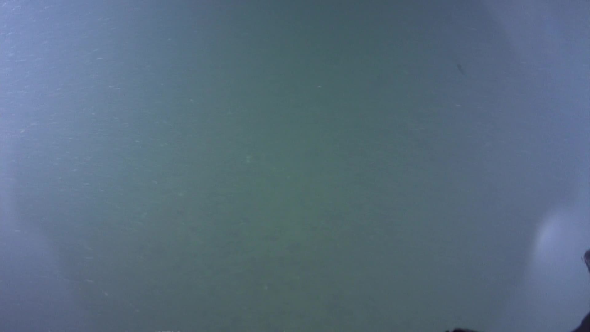 media 230037 thumbnail image