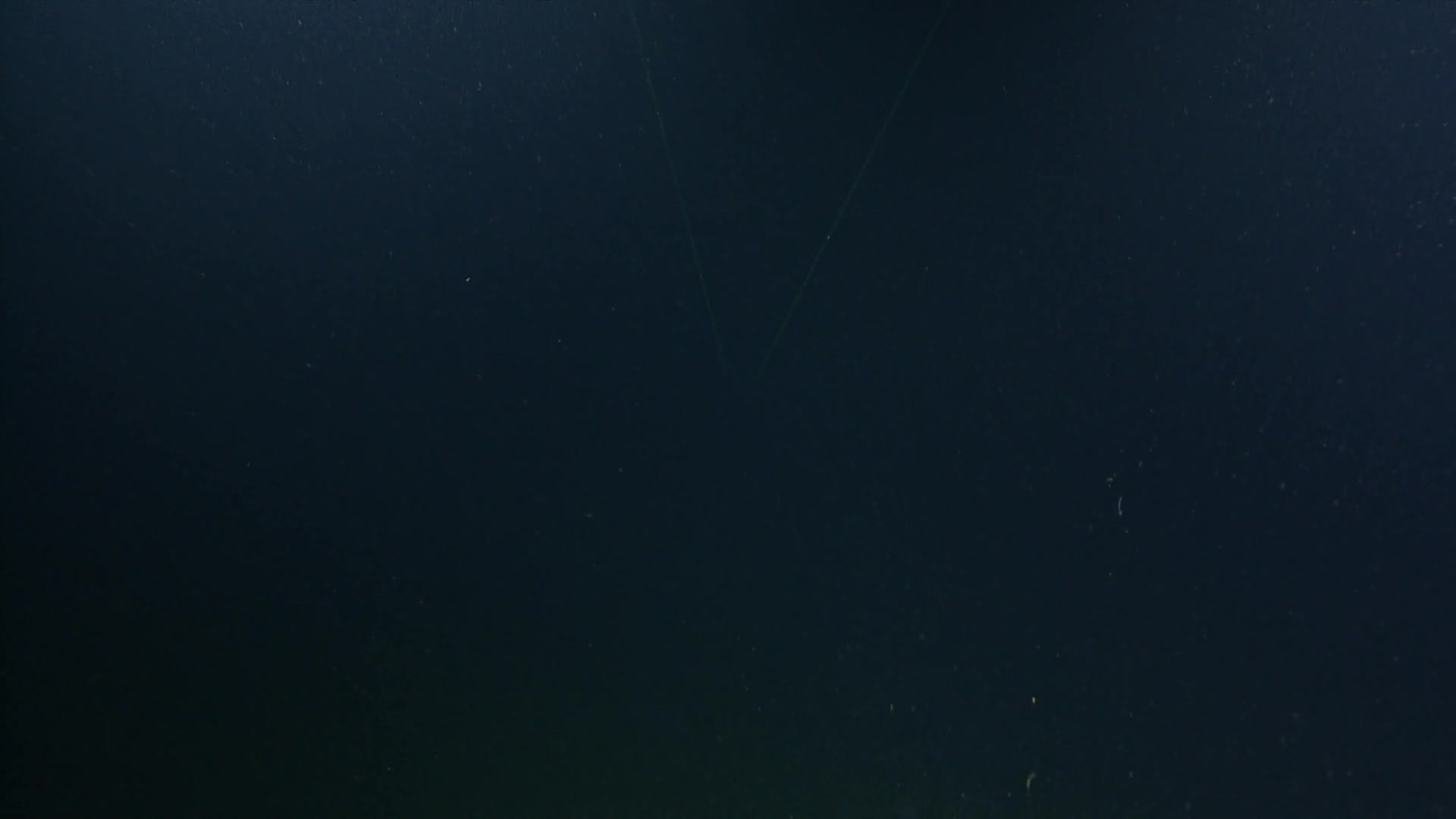 media 230981 thumbnail image