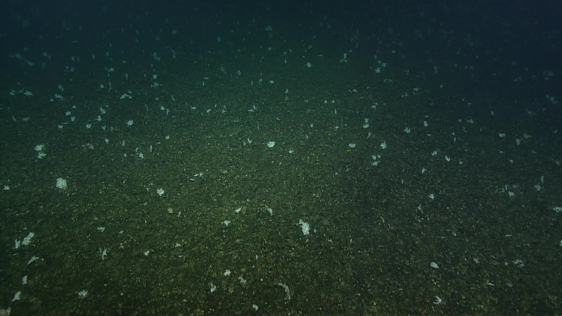 media 231000 thumbnail image