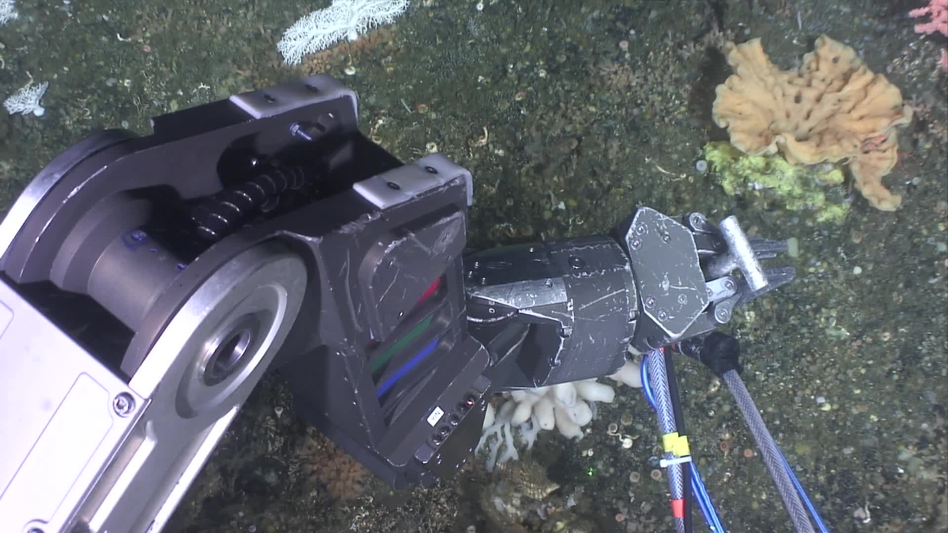 media 231054 thumbnail image
