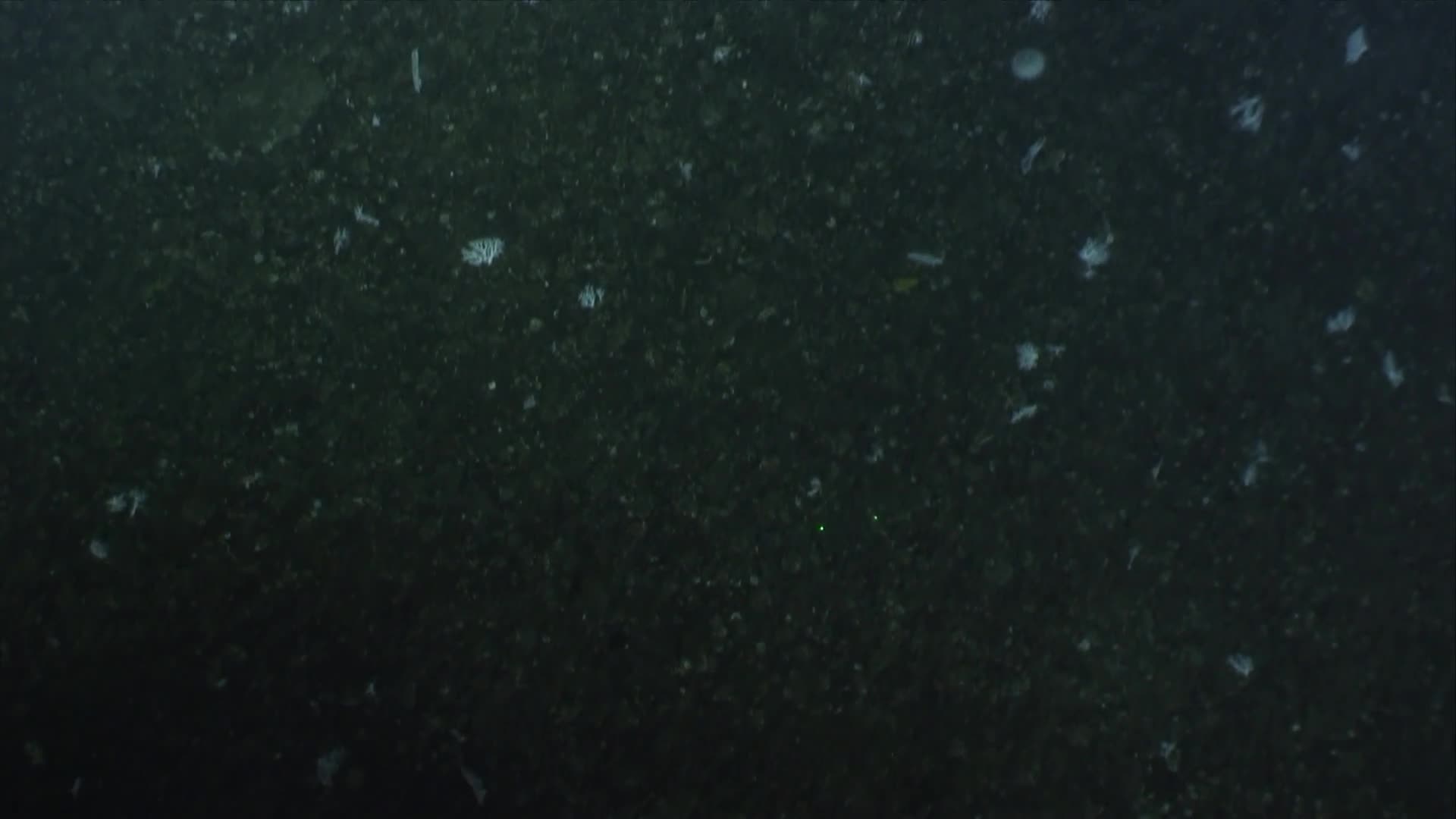media 231060 thumbnail image