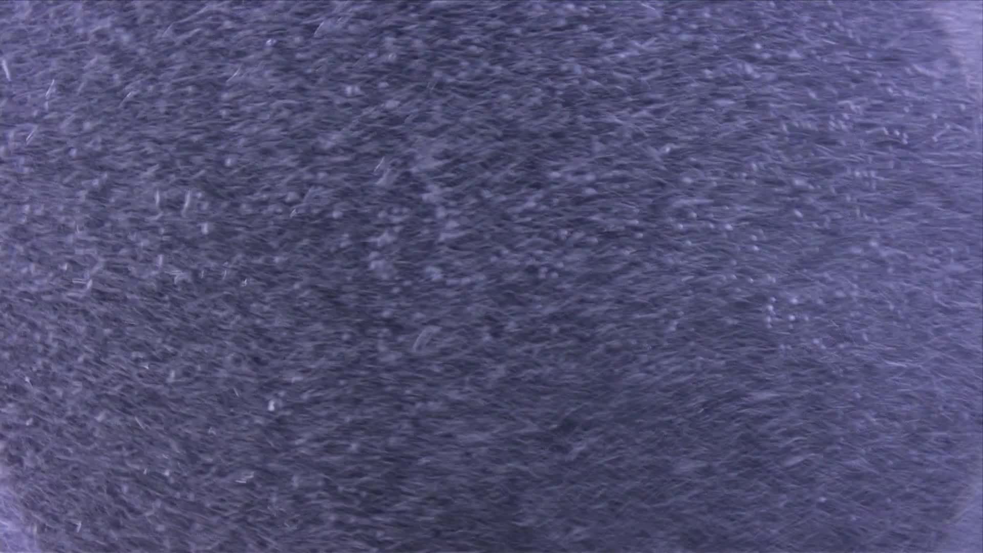 media 232038 thumbnail image