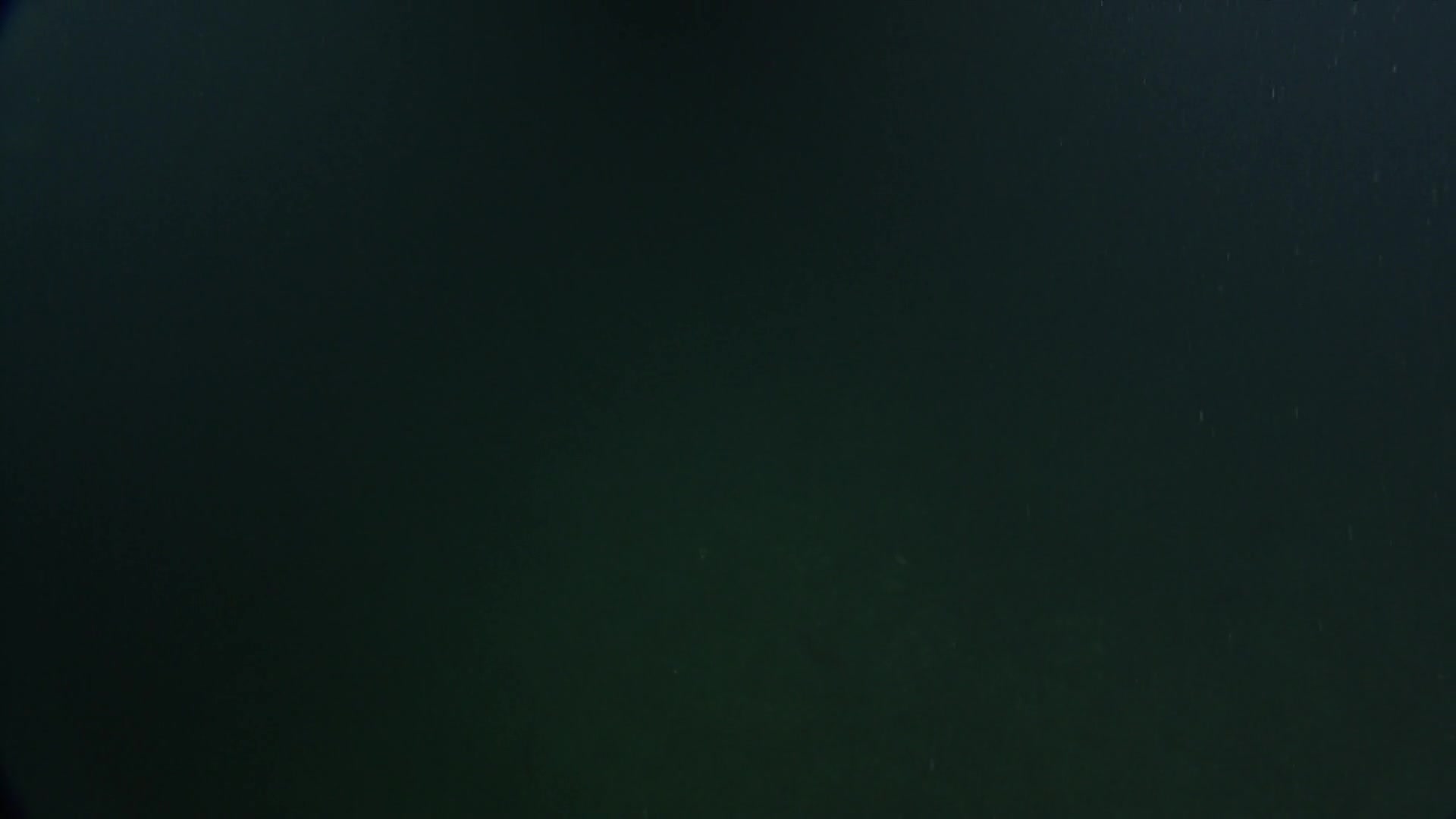 media 232600 thumbnail image