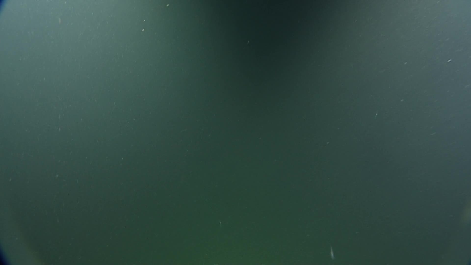 media 232659 thumbnail image