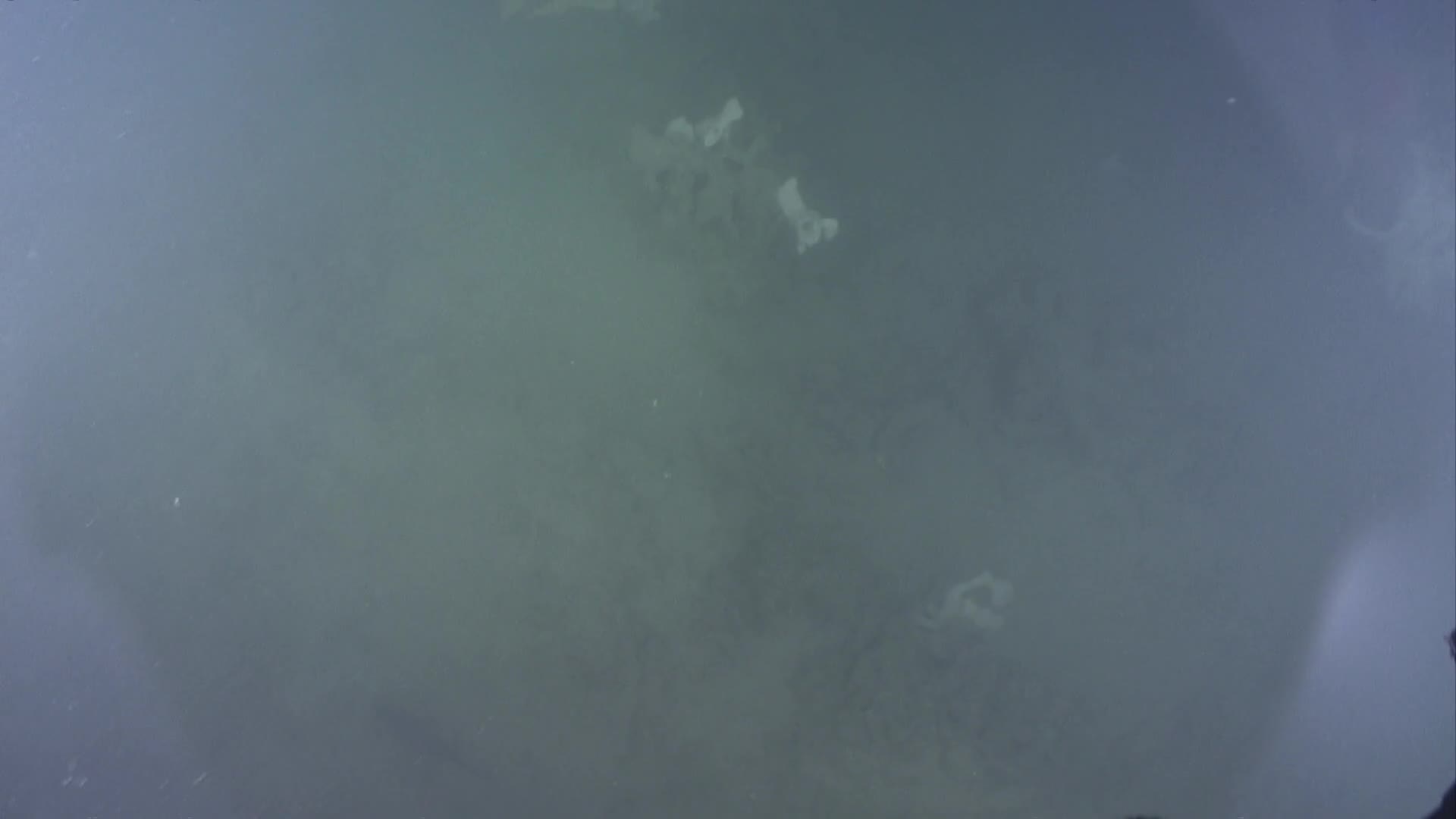 media 232935 thumbnail image