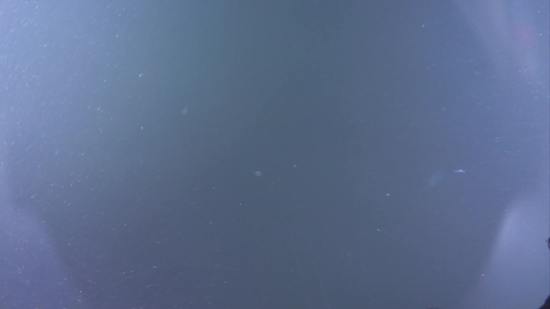 media 232937 thumbnail image
