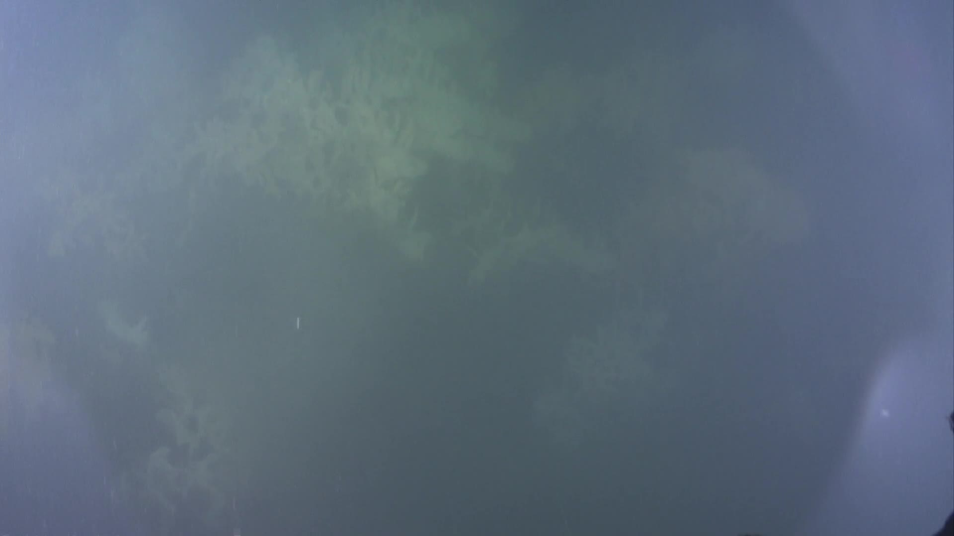 media 232938 thumbnail image