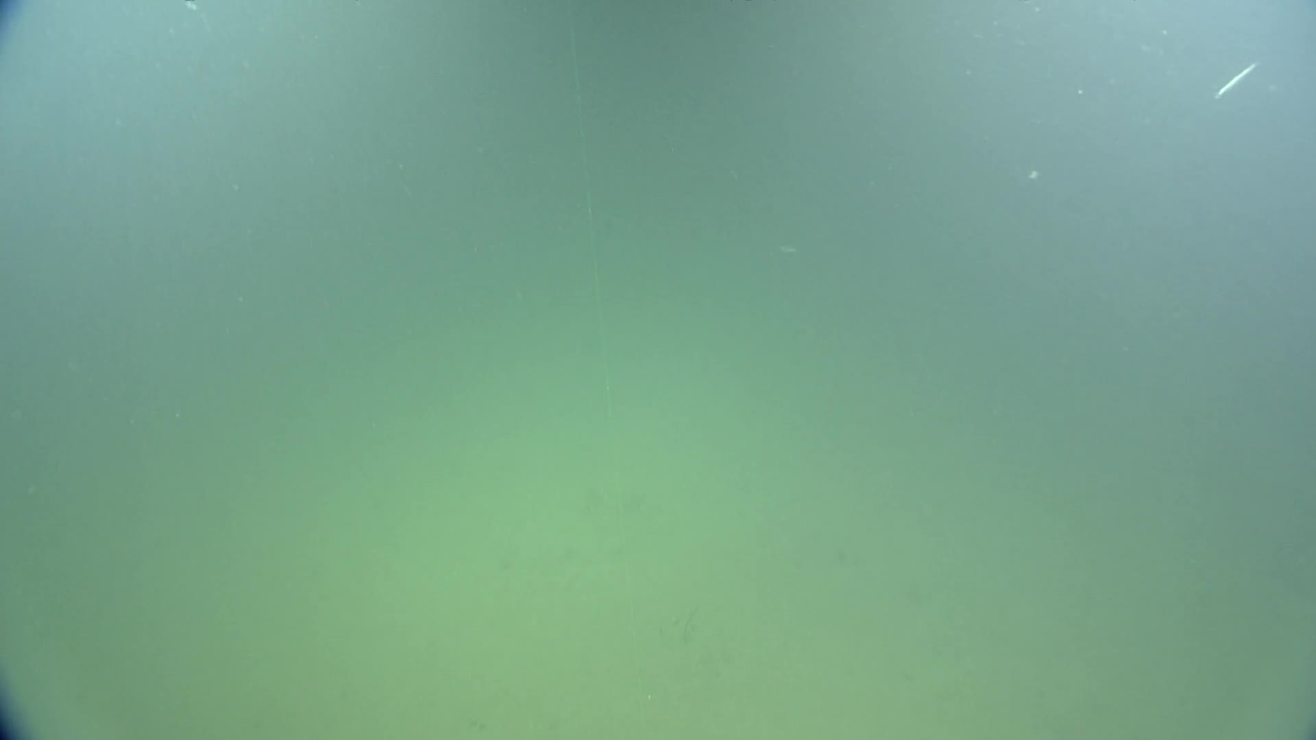 media 232979 thumbnail image