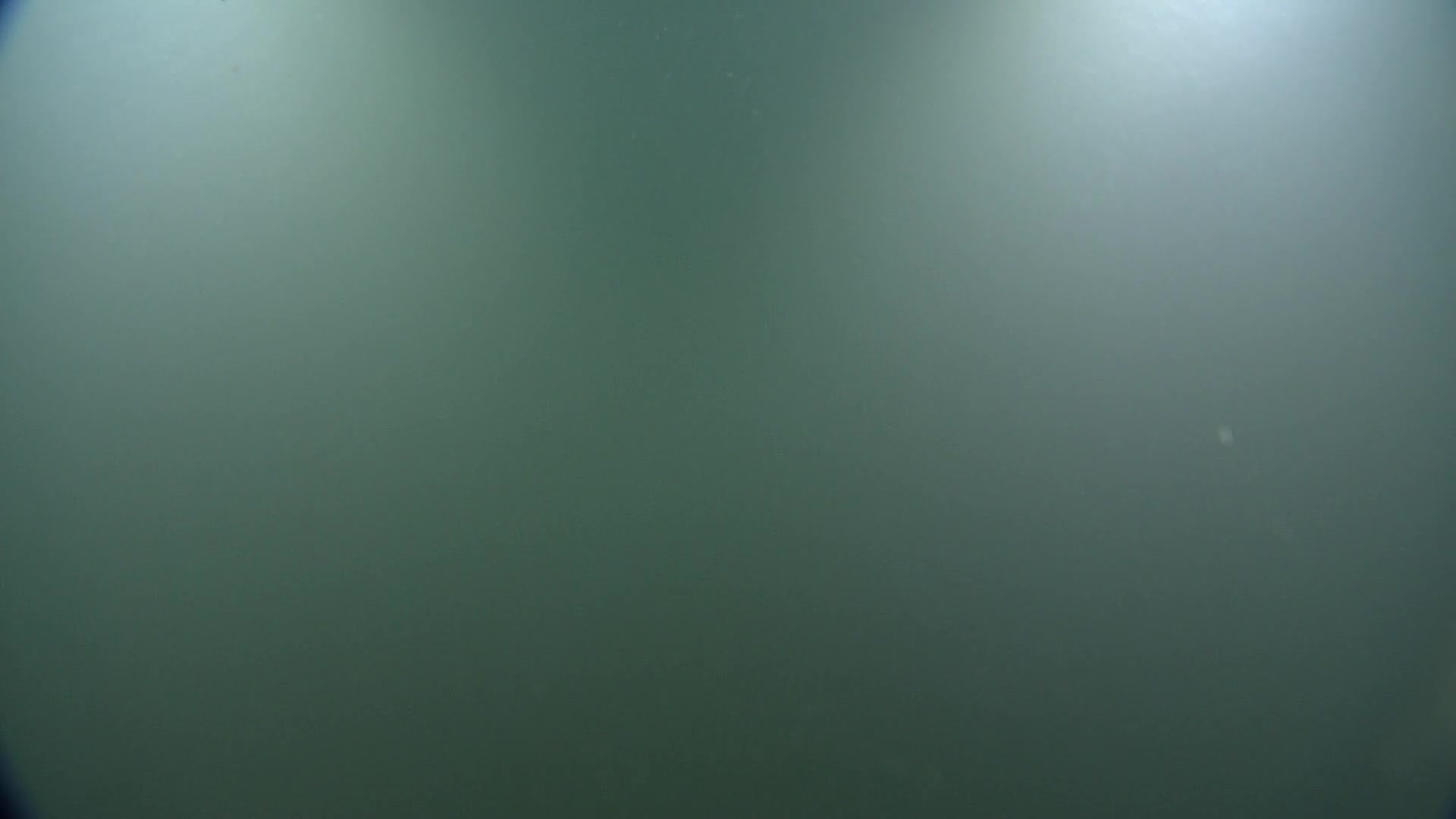 media 233013 thumbnail image