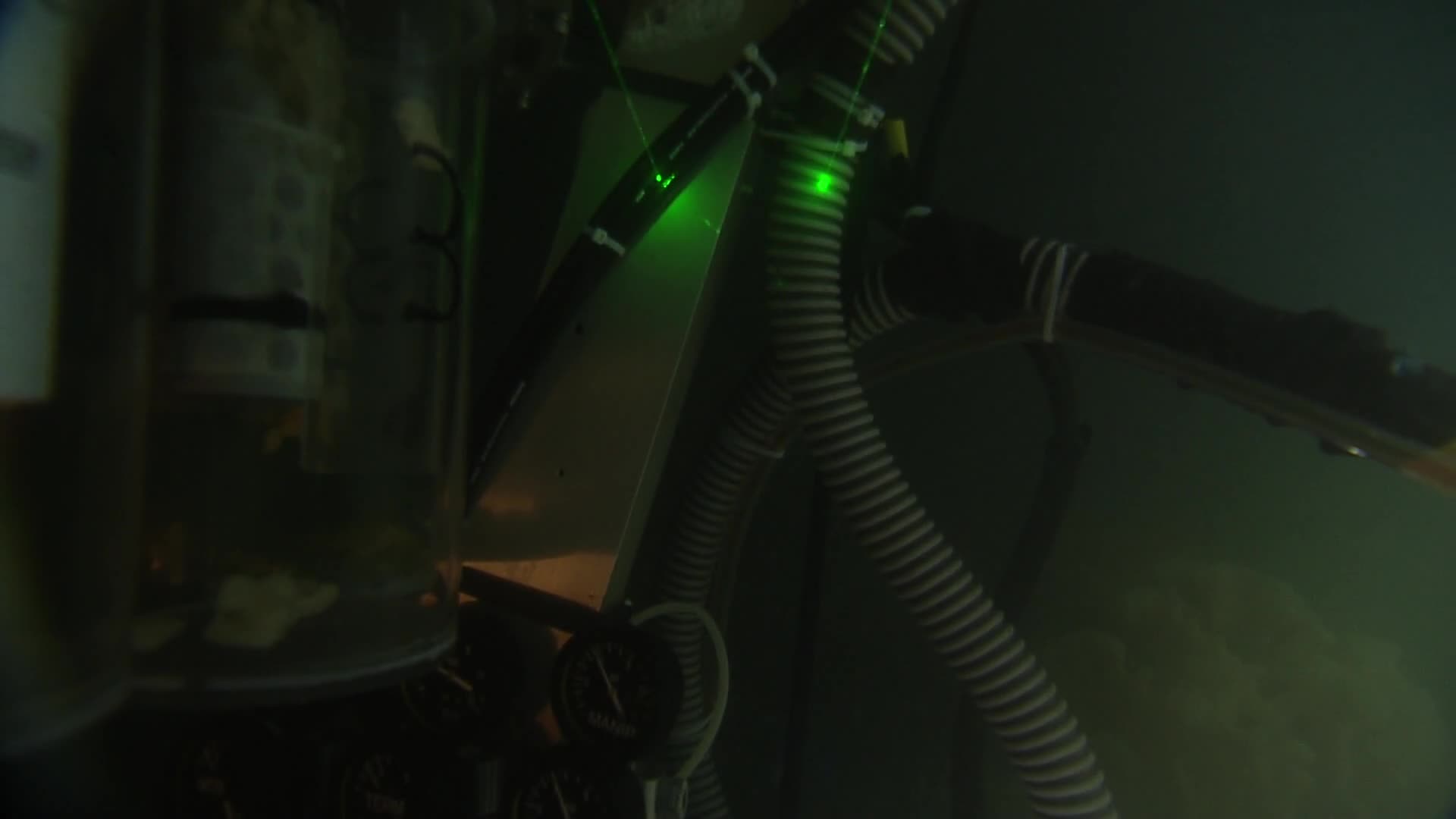 media 233017 thumbnail image