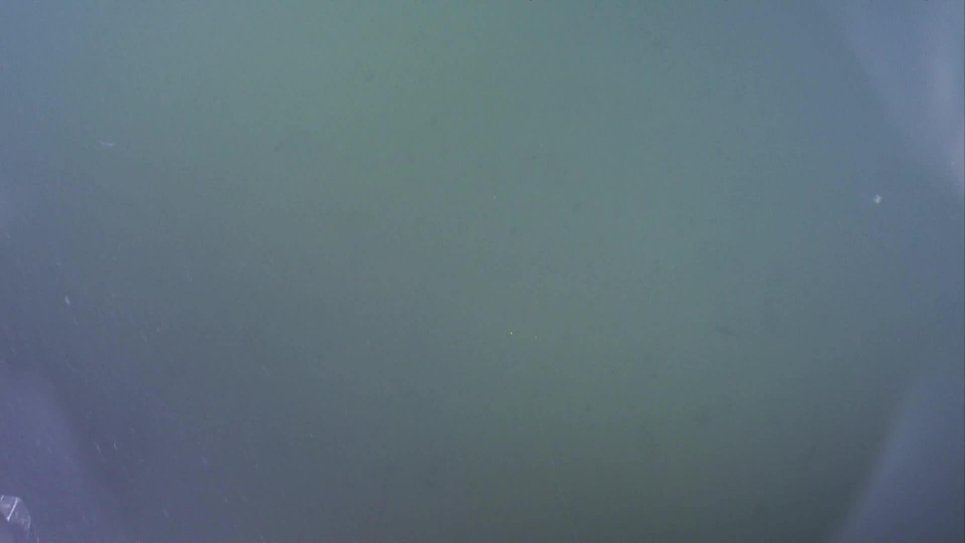 media 233041 thumbnail image