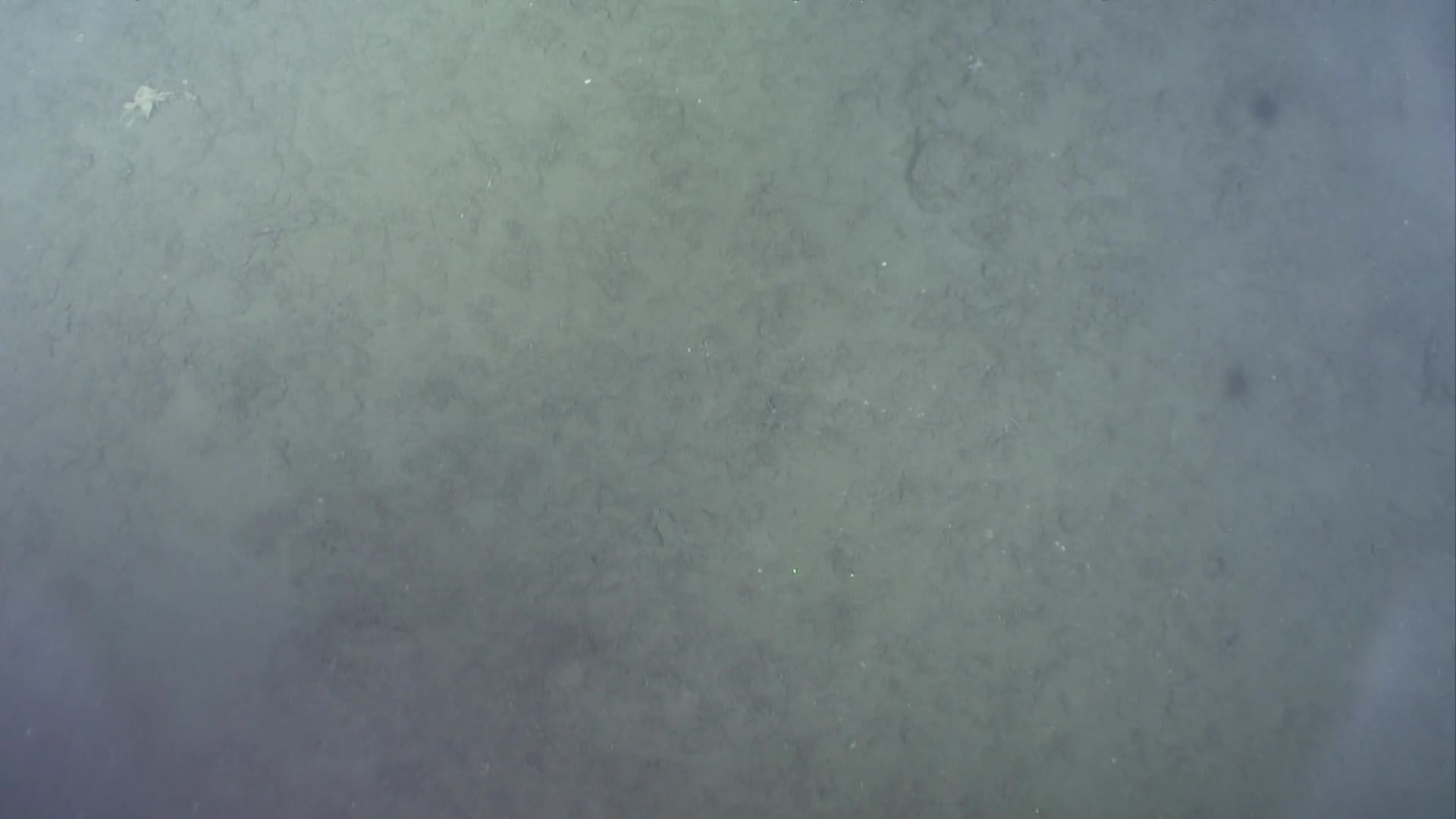 media 233044 thumbnail image
