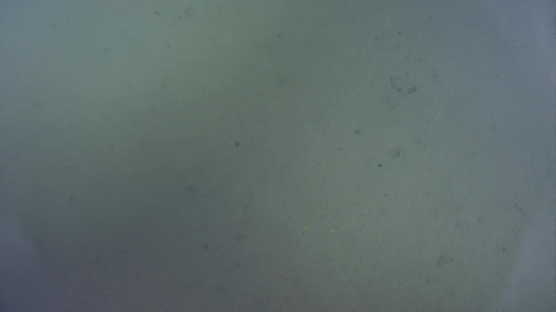 media 233050 thumbnail image