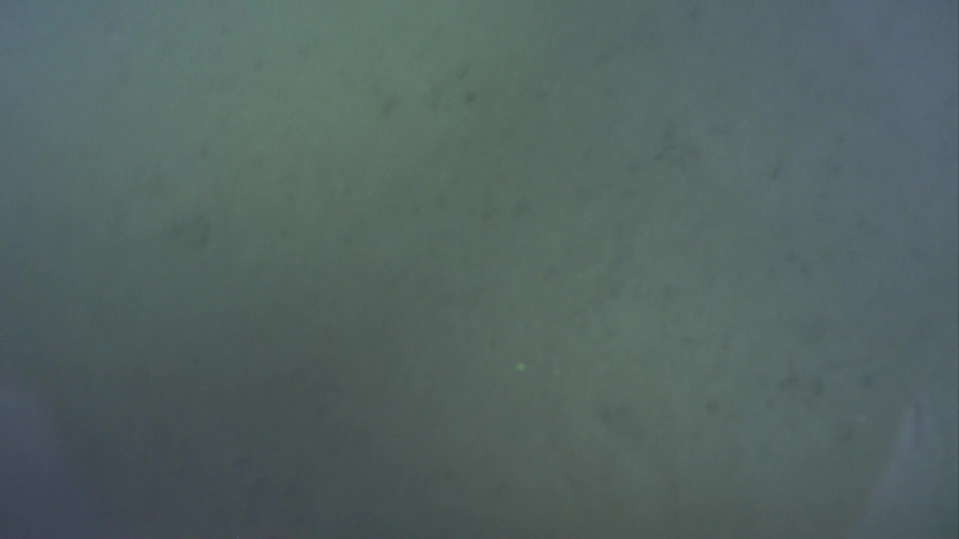media 233065 thumbnail image