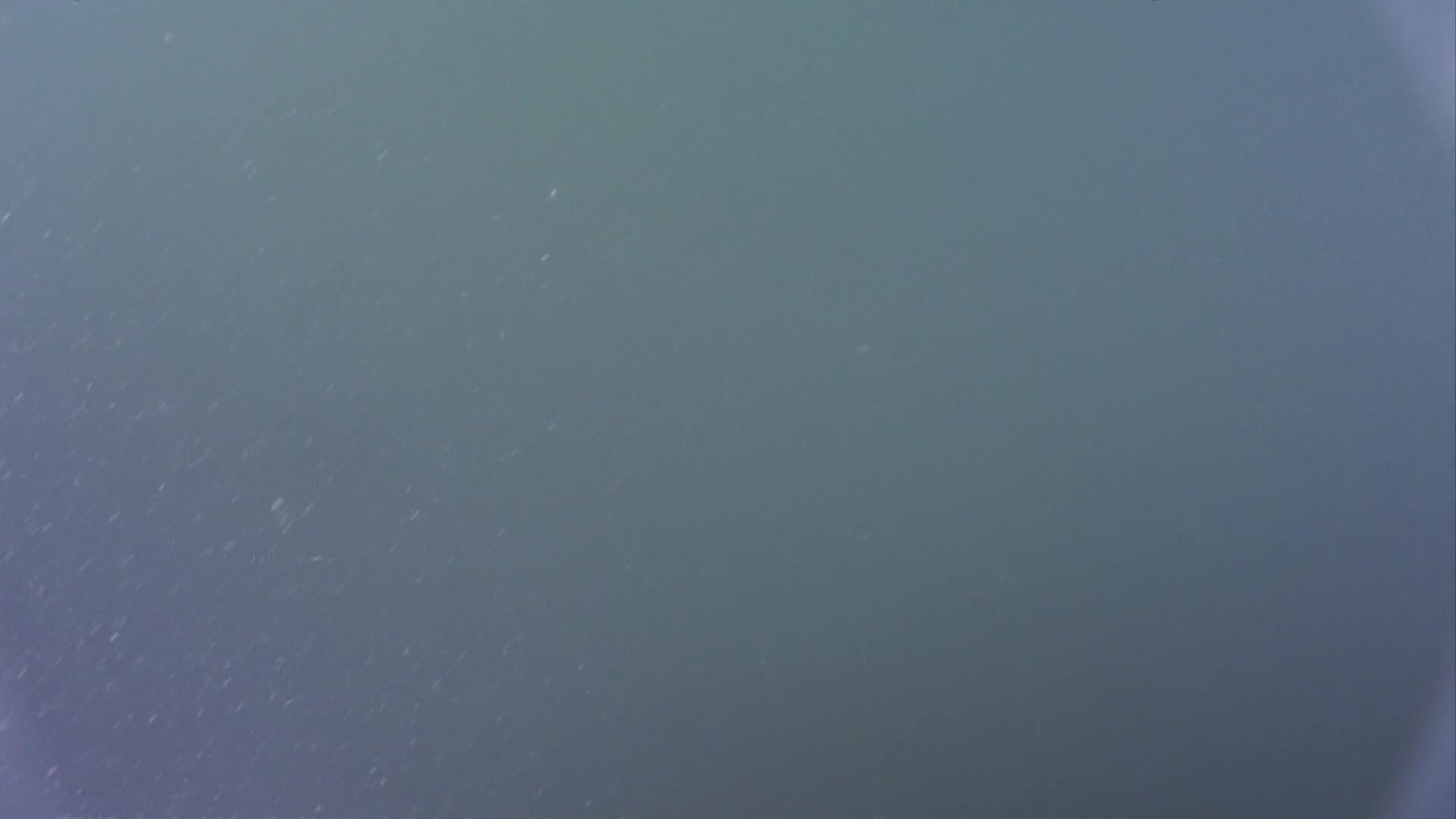 media 233071 thumbnail image