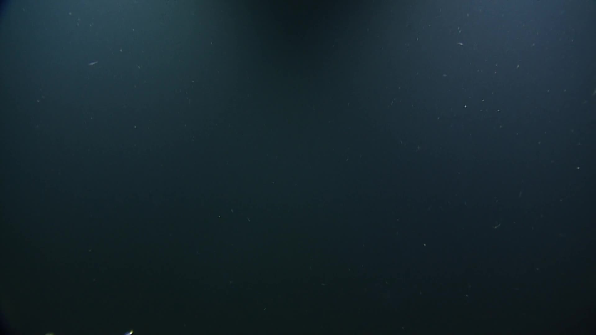media 233127 thumbnail image