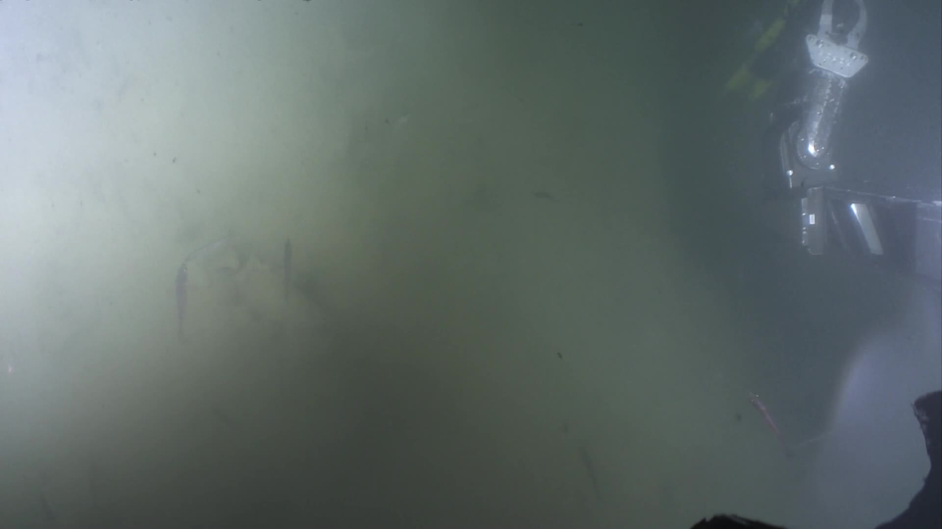 media 233130 thumbnail image