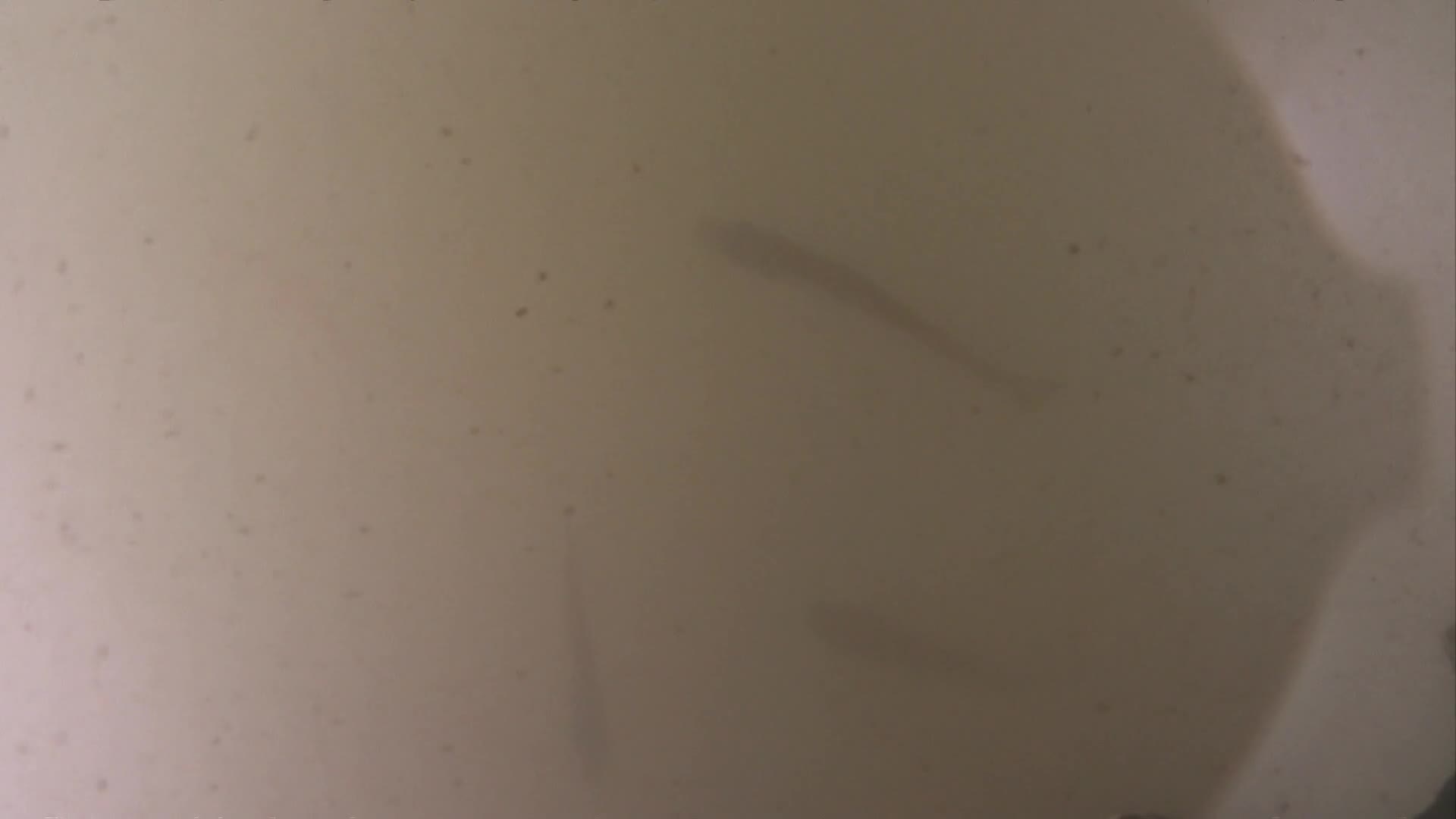media 233145 thumbnail image