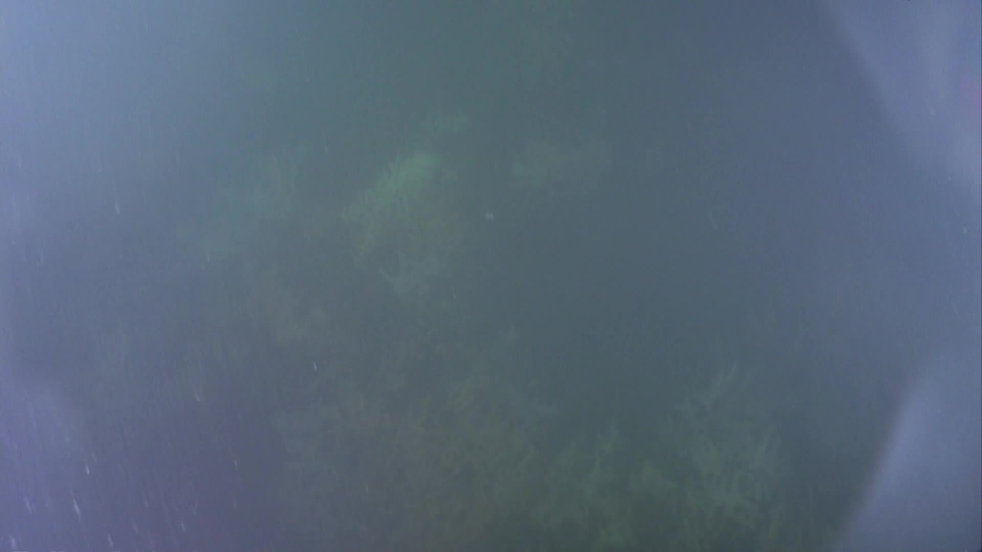 media 233163 thumbnail image