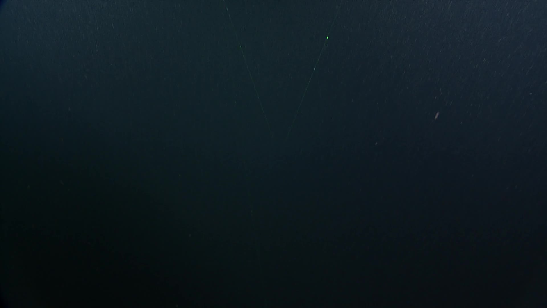 media 233444 thumbnail image