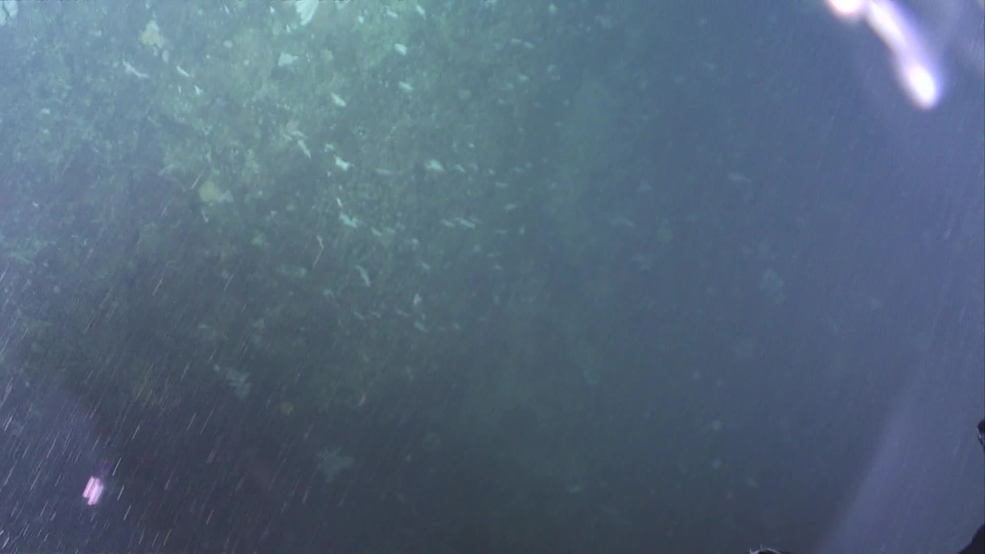 media 233499 thumbnail image