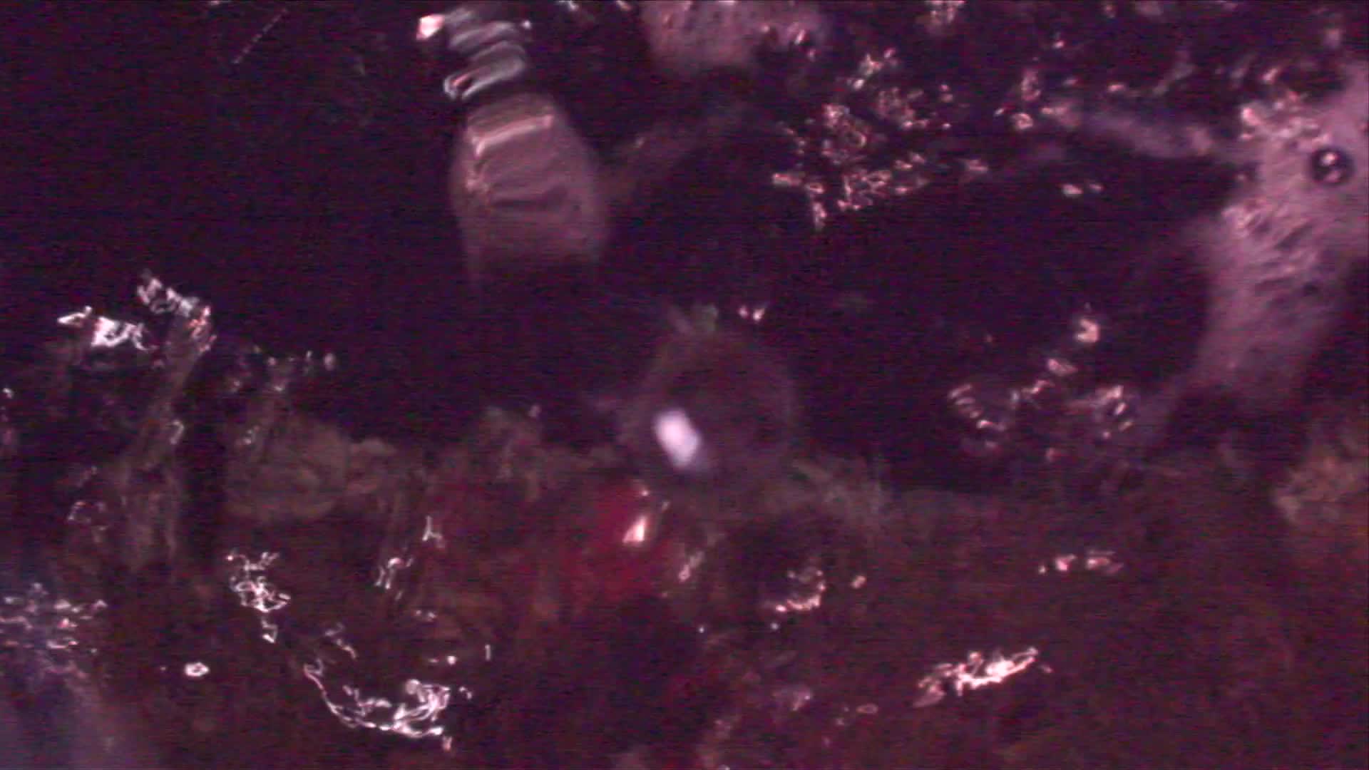 media 233543 thumbnail image
