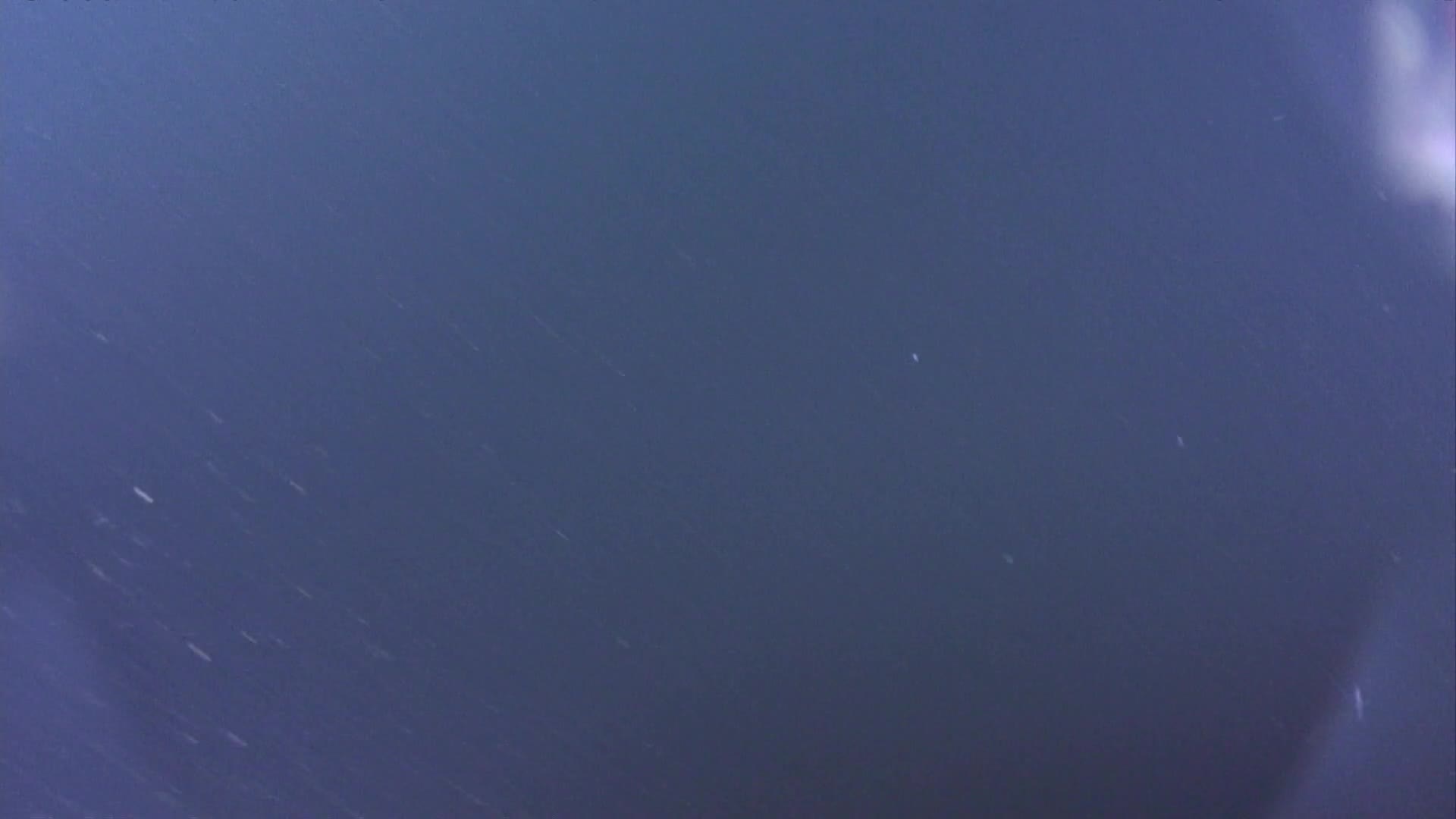 media 233545 thumbnail image