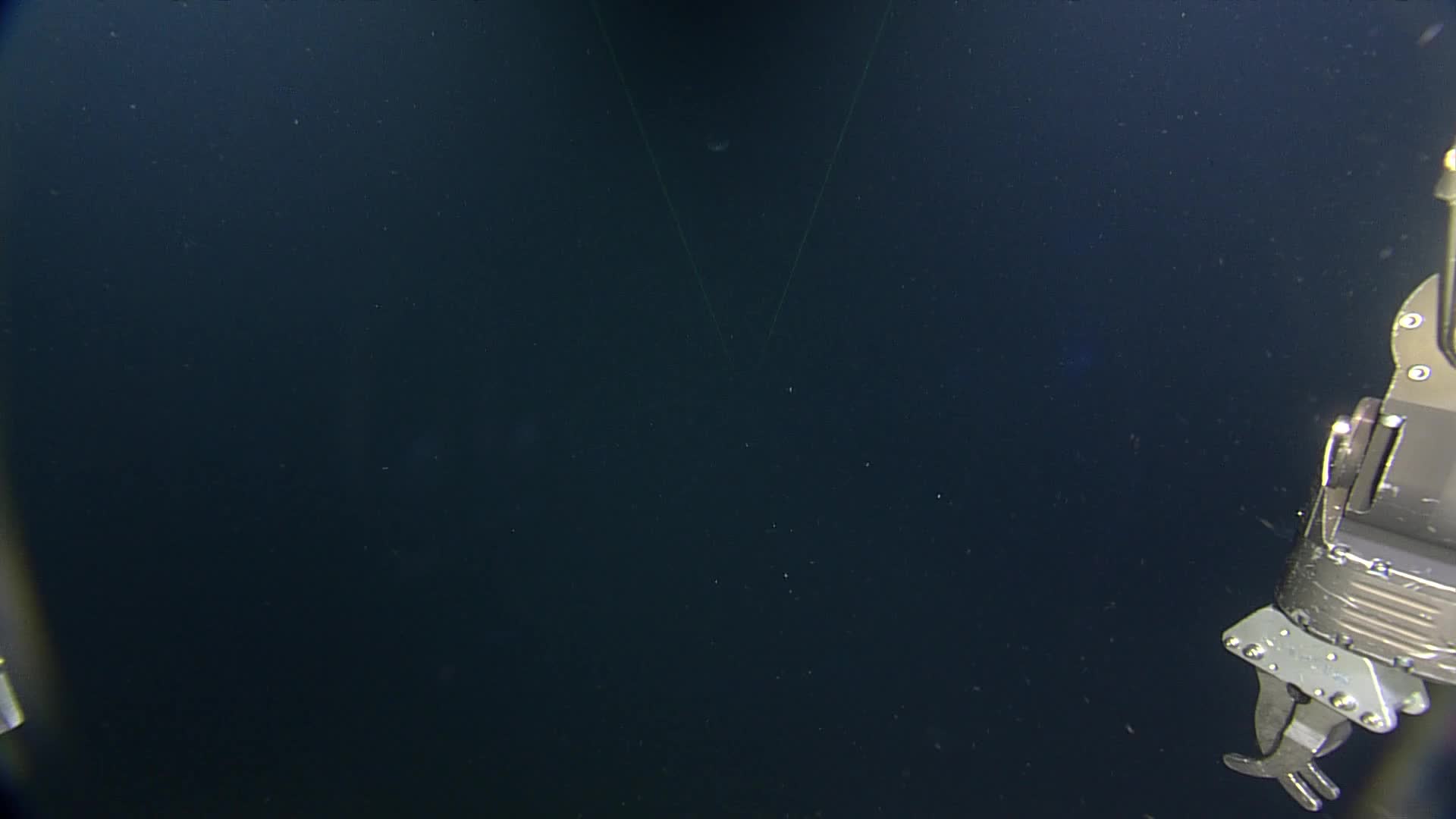 media 233581 thumbnail image
