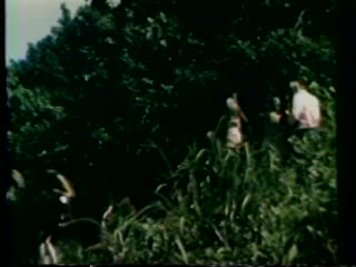 media 233833 thumbnail image