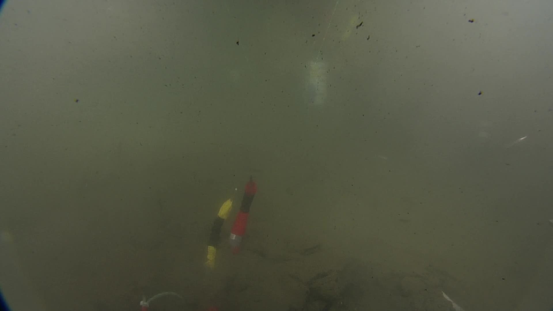 media 233843 thumbnail image
