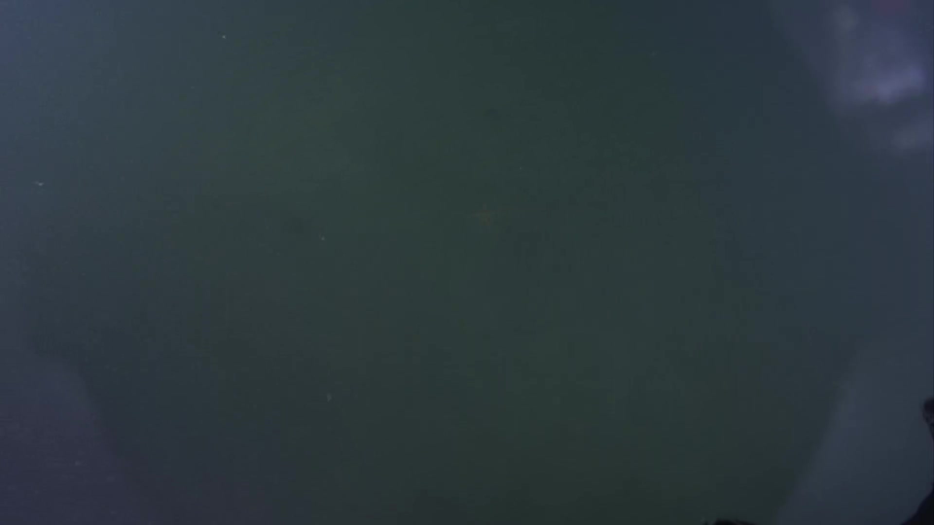 media 233876 thumbnail image