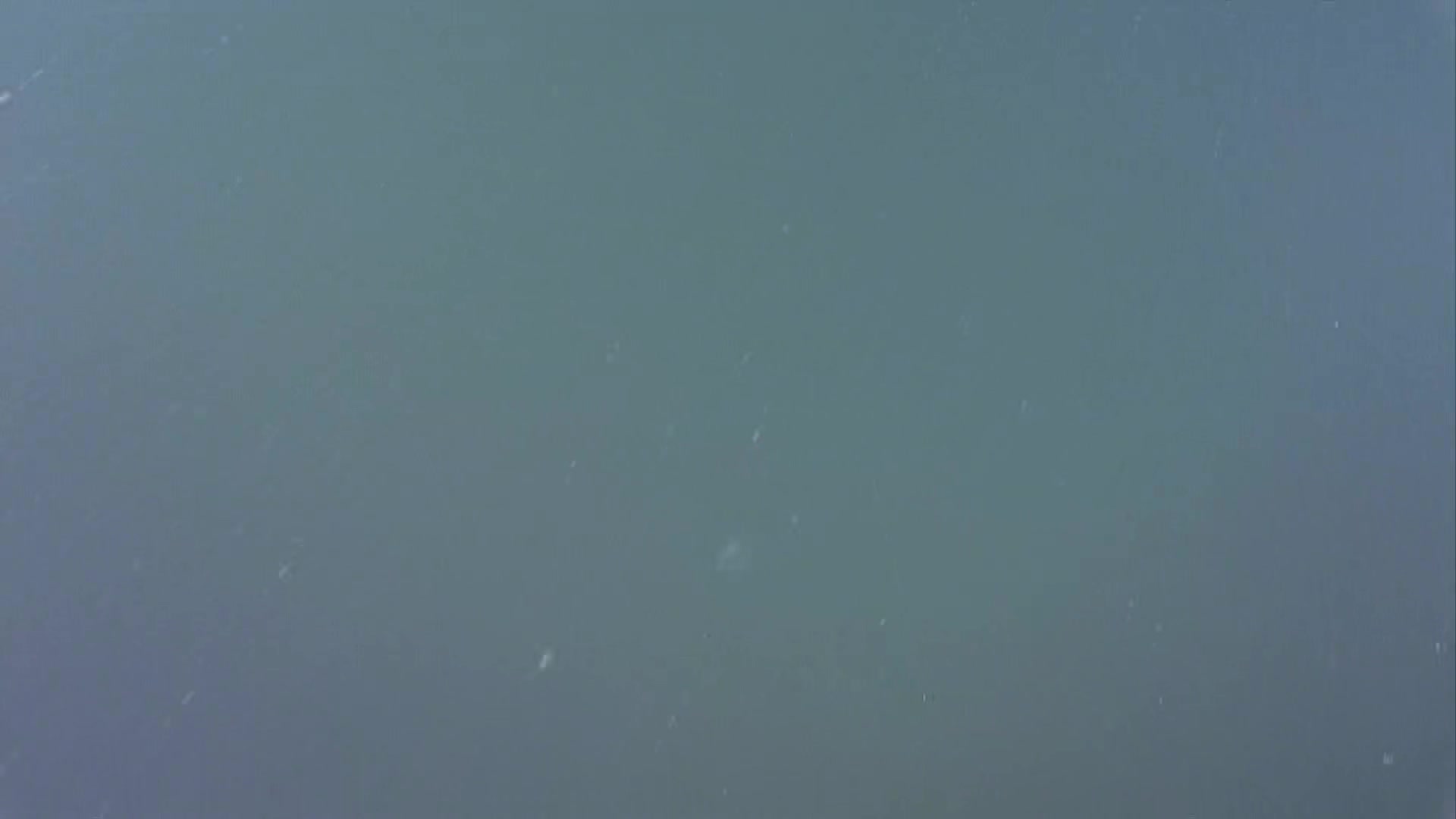 media 233883 thumbnail image