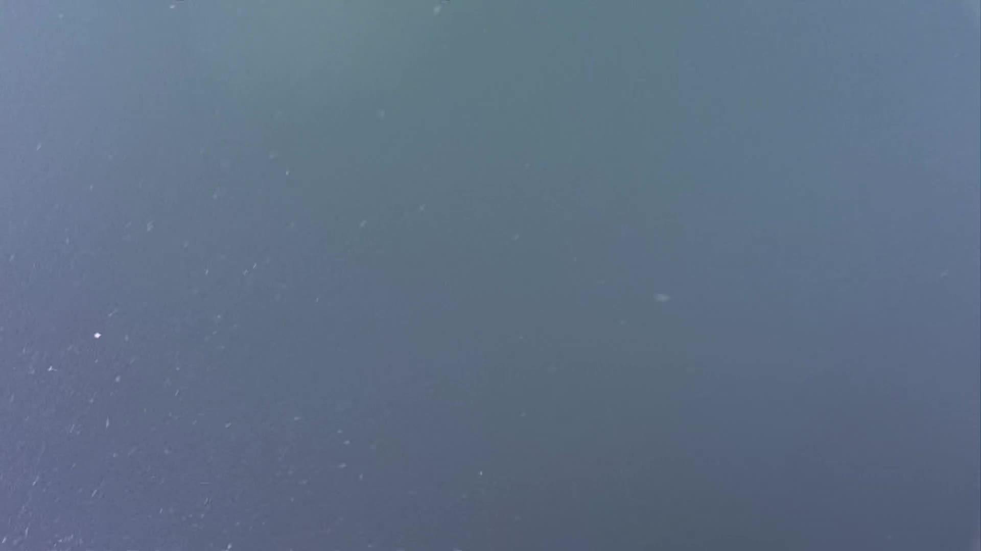media 233885 thumbnail image