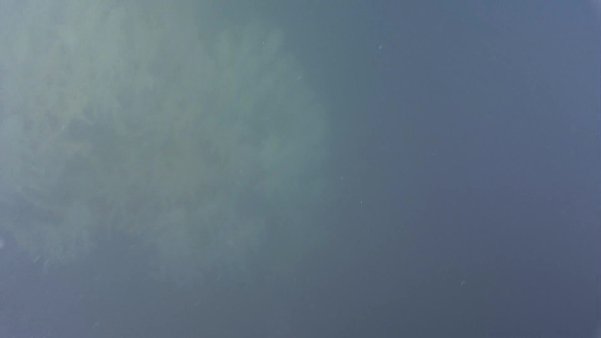 media 233891 thumbnail image
