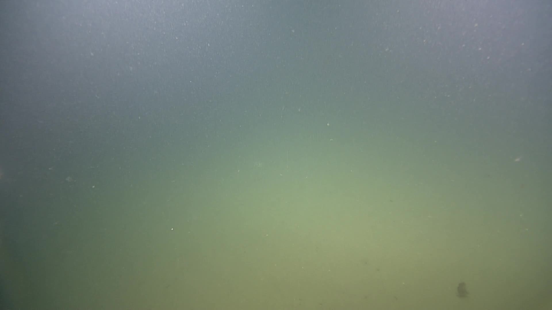 media 233953 thumbnail image