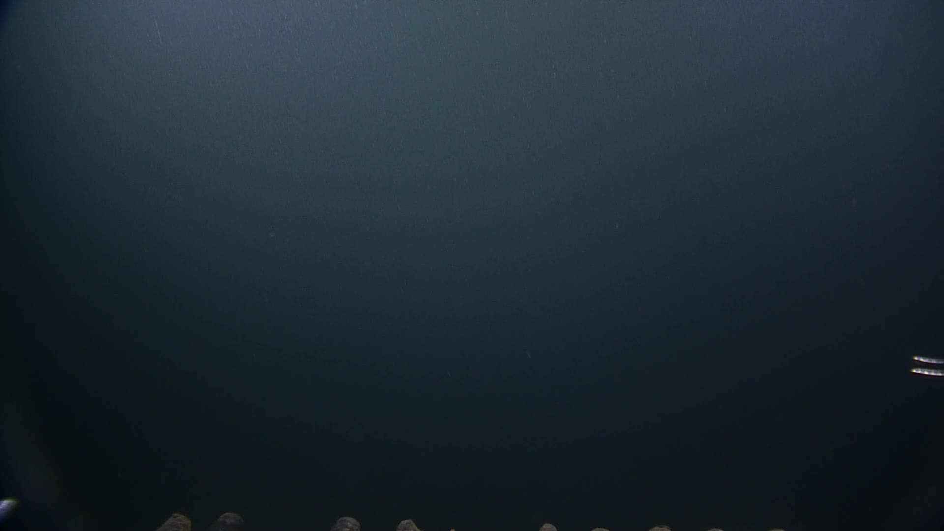 media 233955 thumbnail image