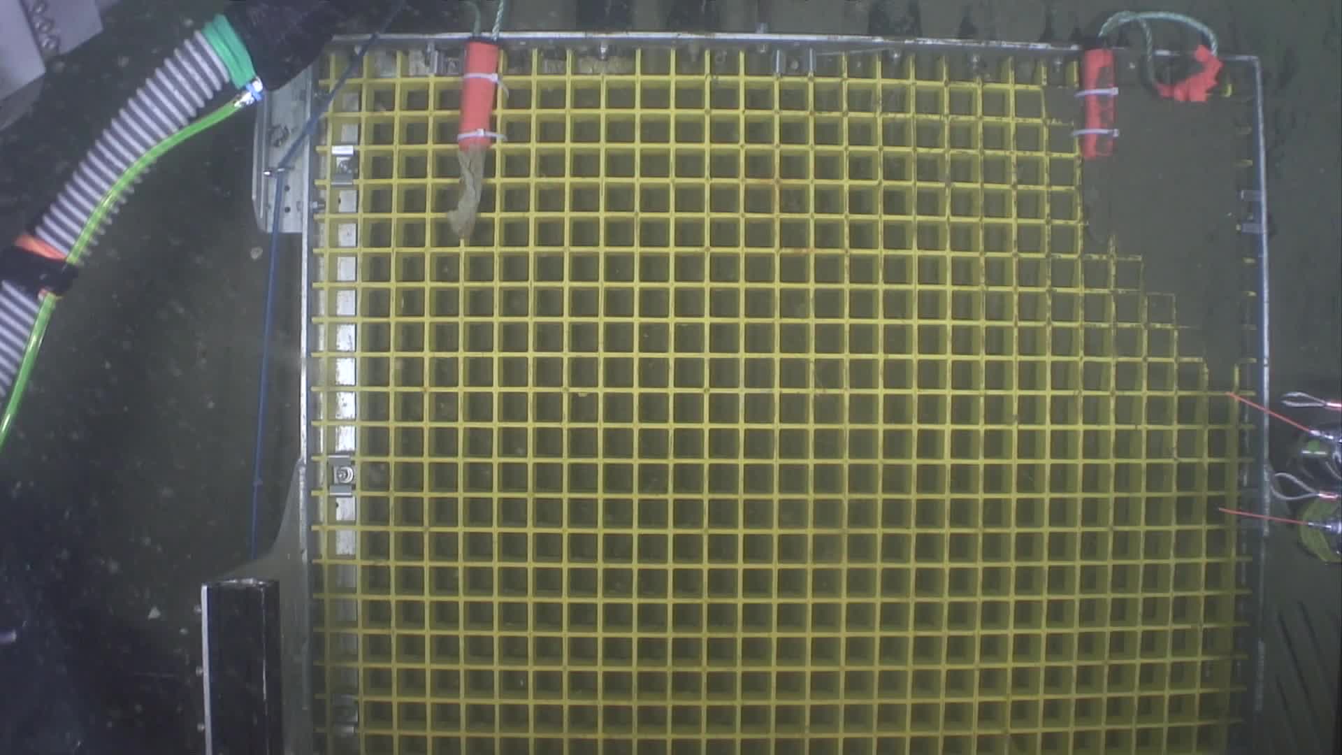 media 233967 thumbnail image