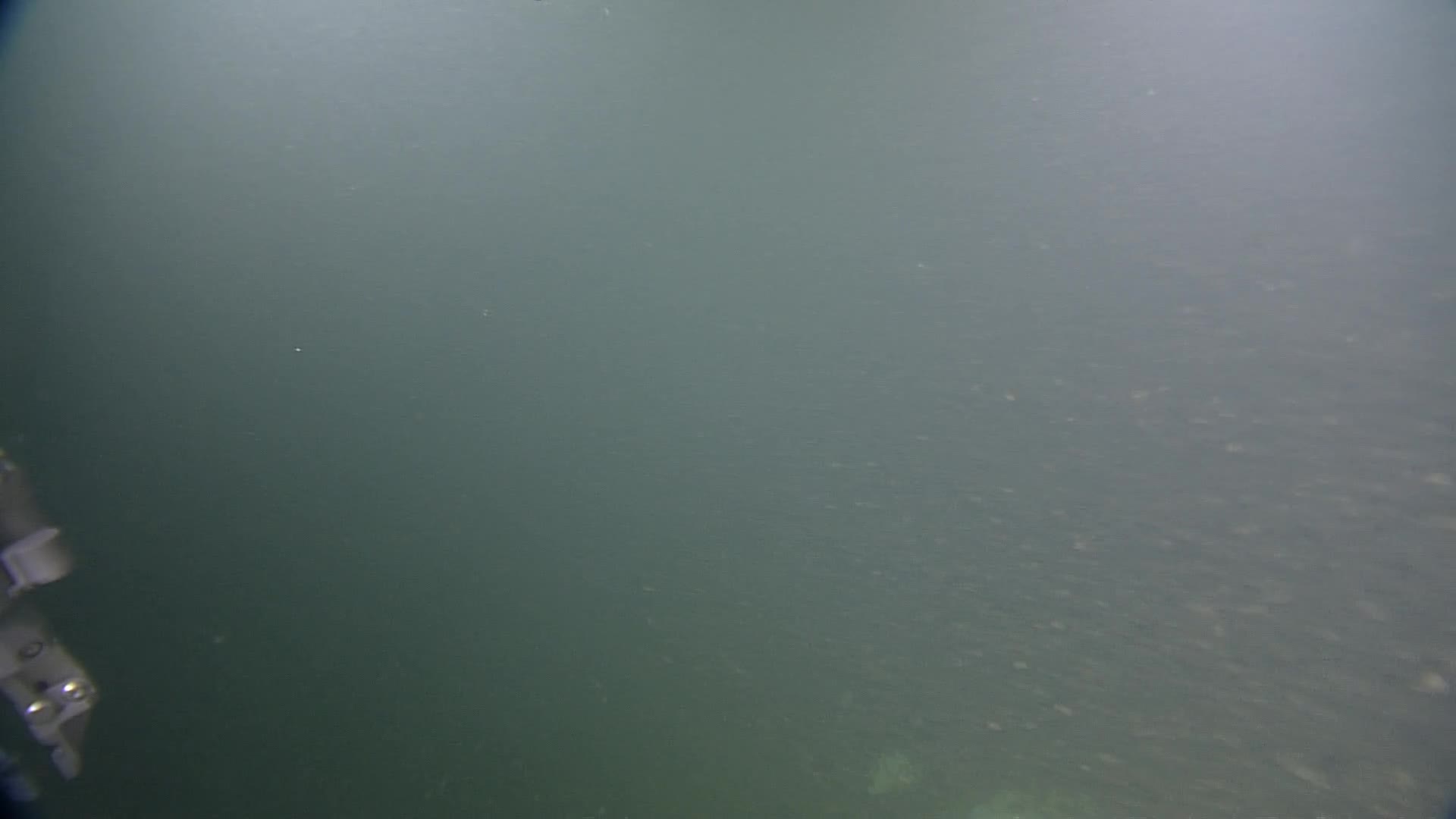 media 233973 thumbnail image