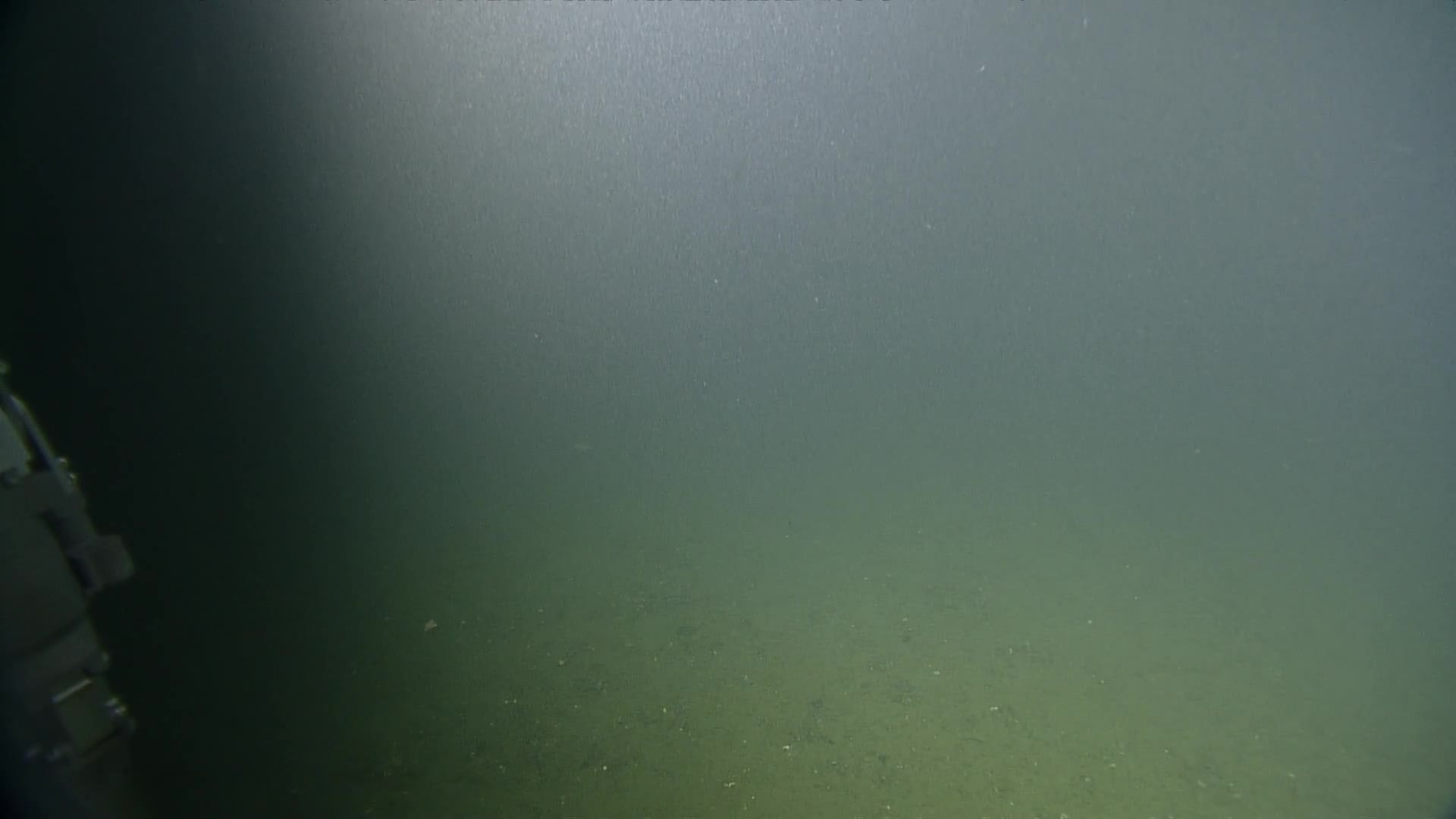 media 233982 thumbnail image